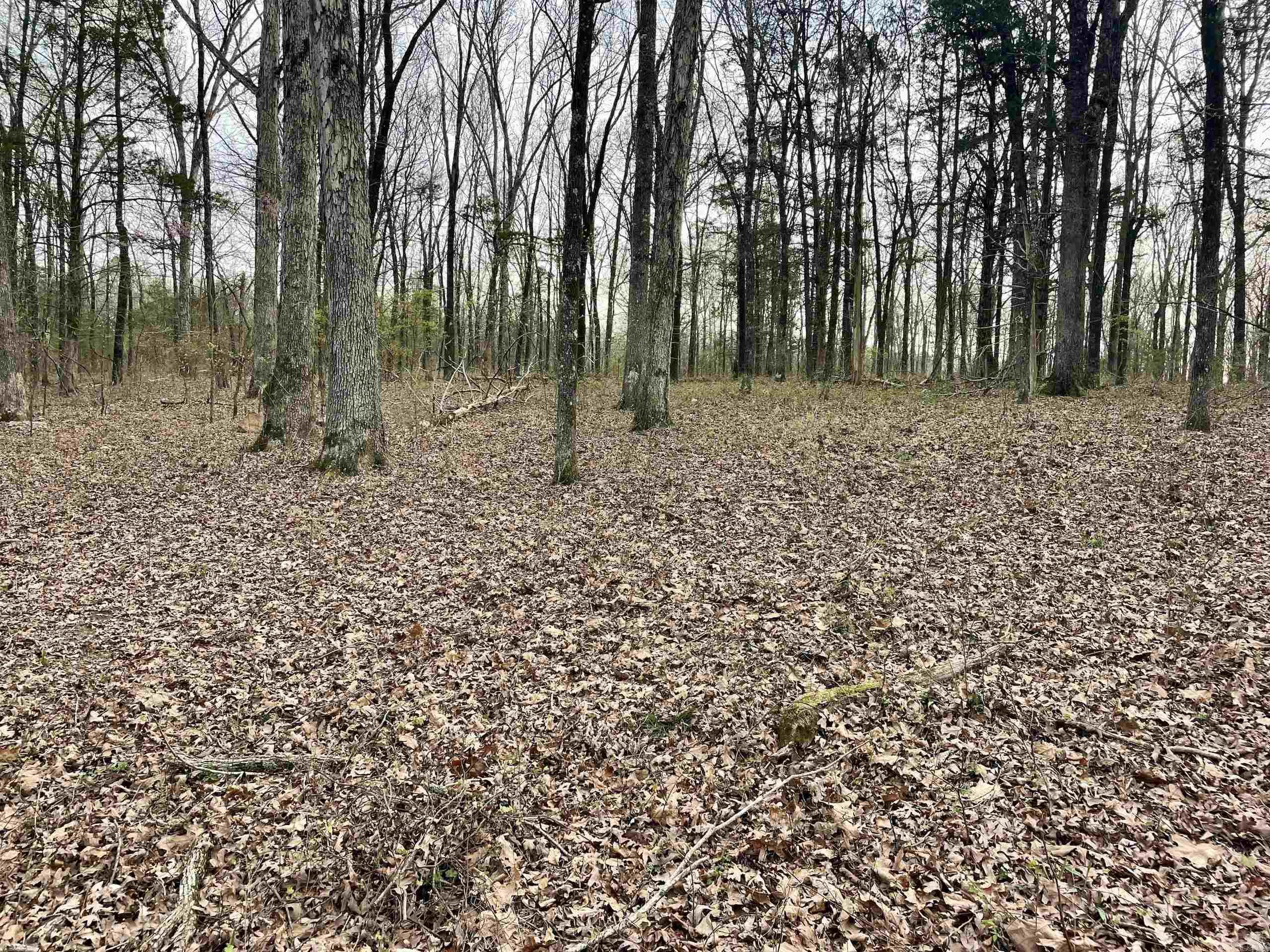 Paradise River Resort - Land