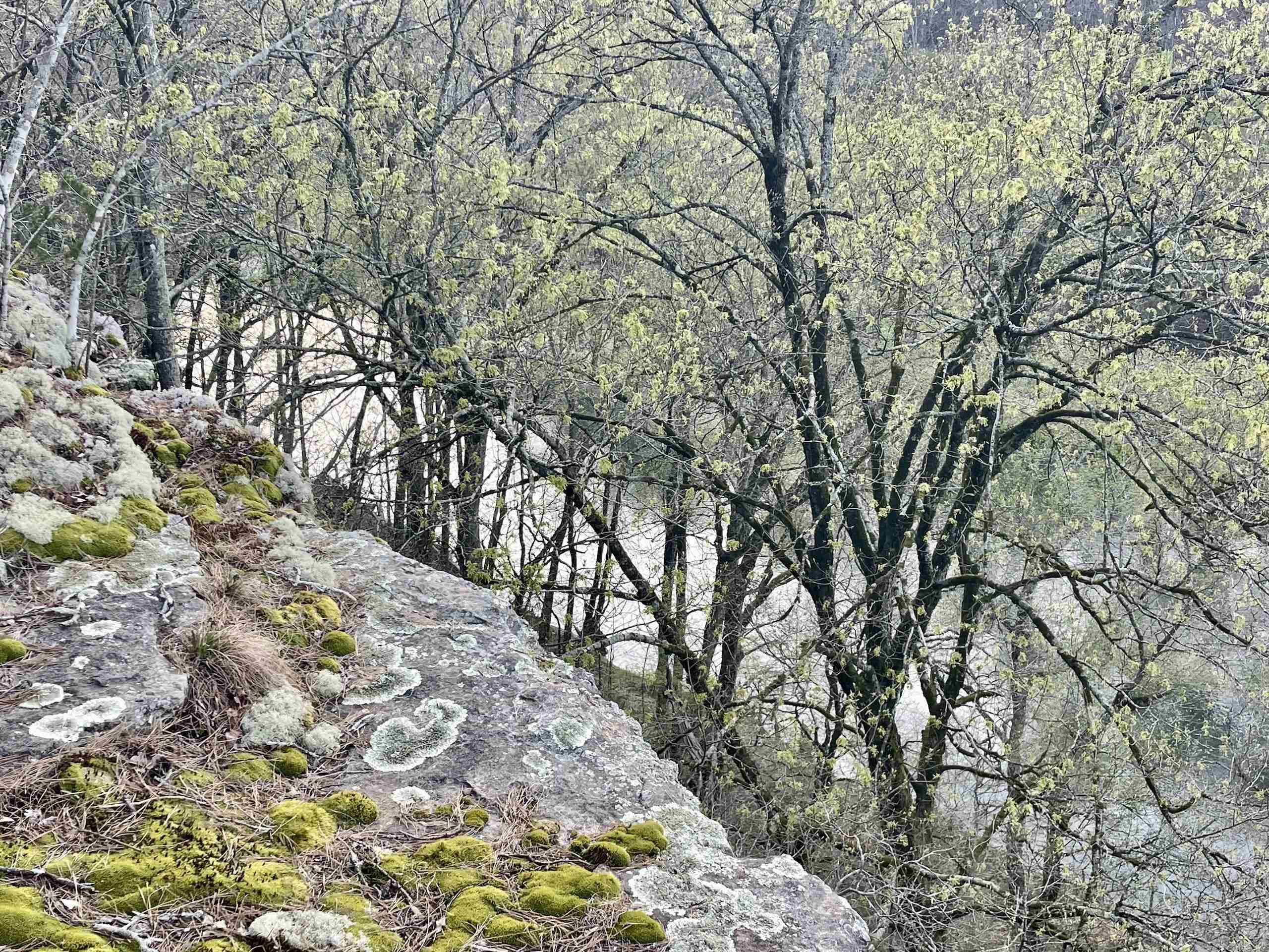 Paradise River Resort - Land