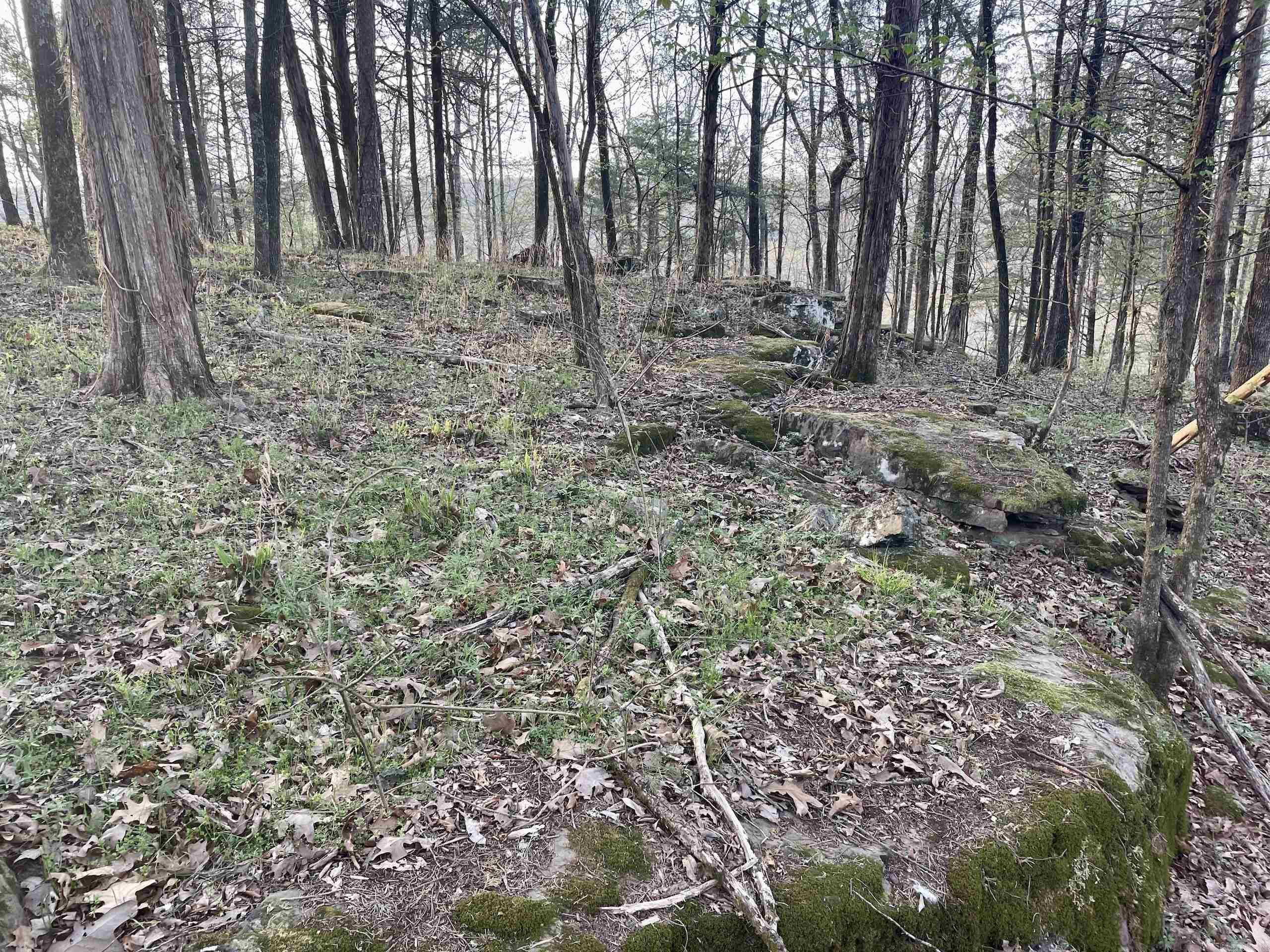 Paradise River Resort - Land