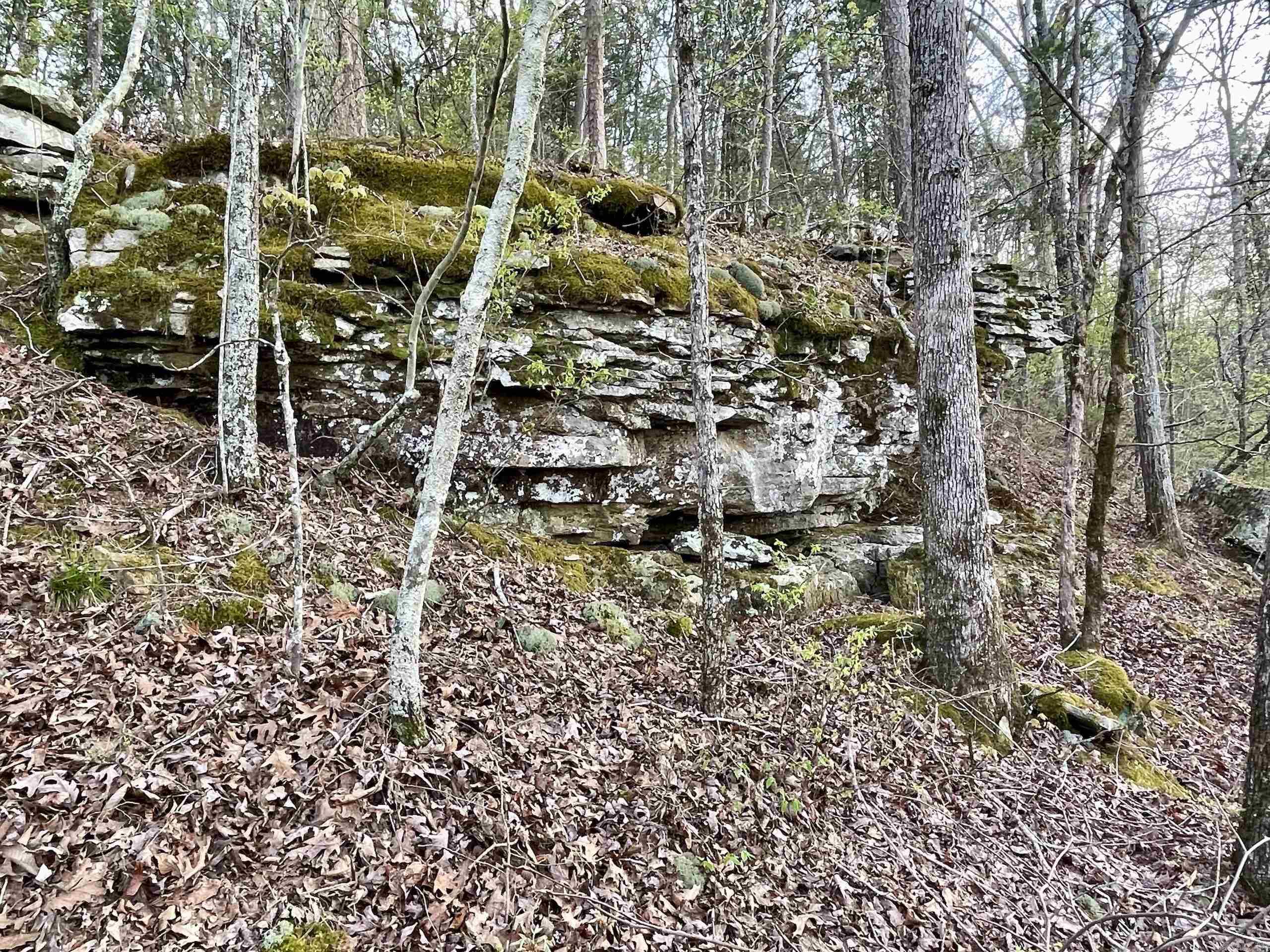 Paradise River Resort - Land