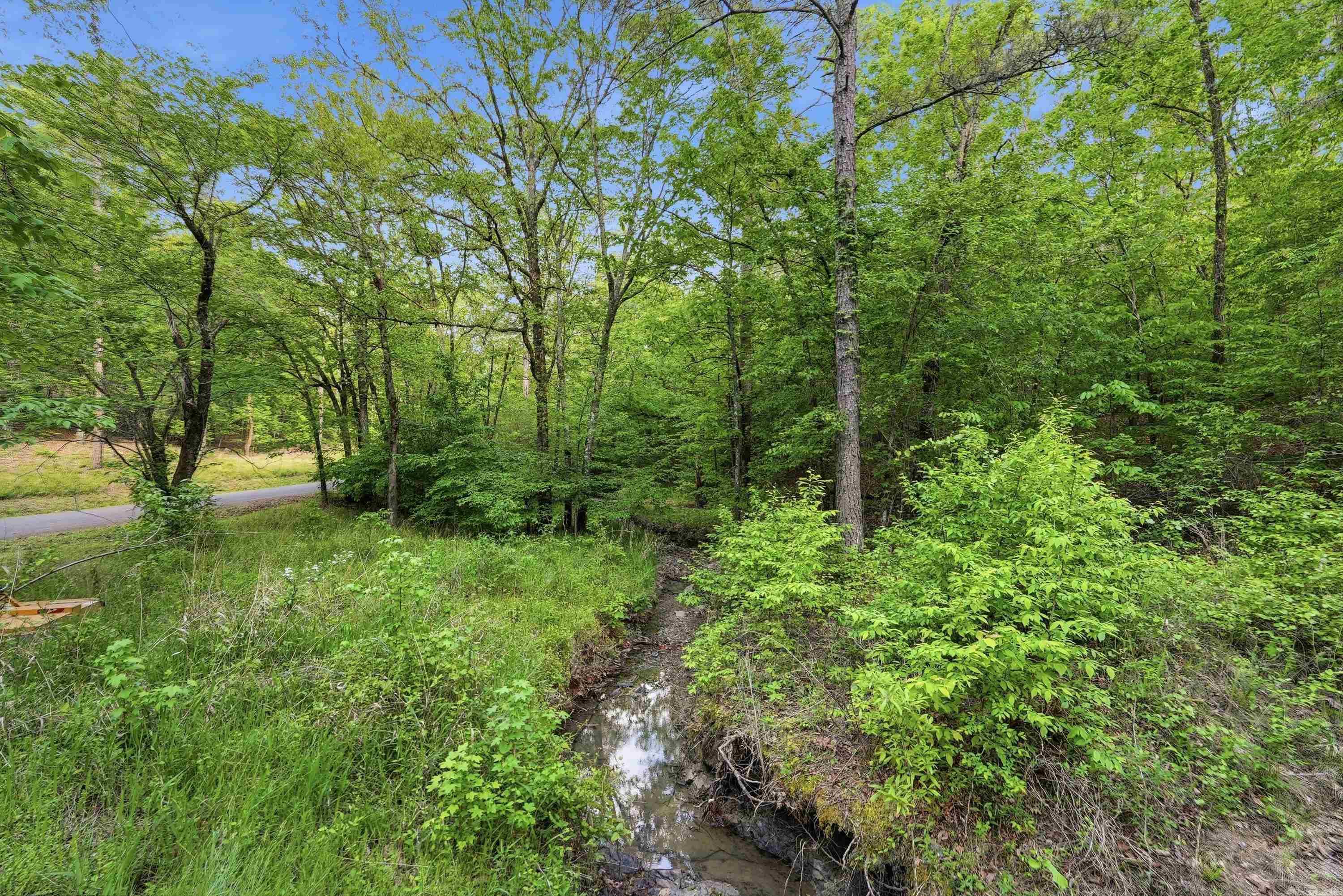 Lake Catherine Lakeview - Land