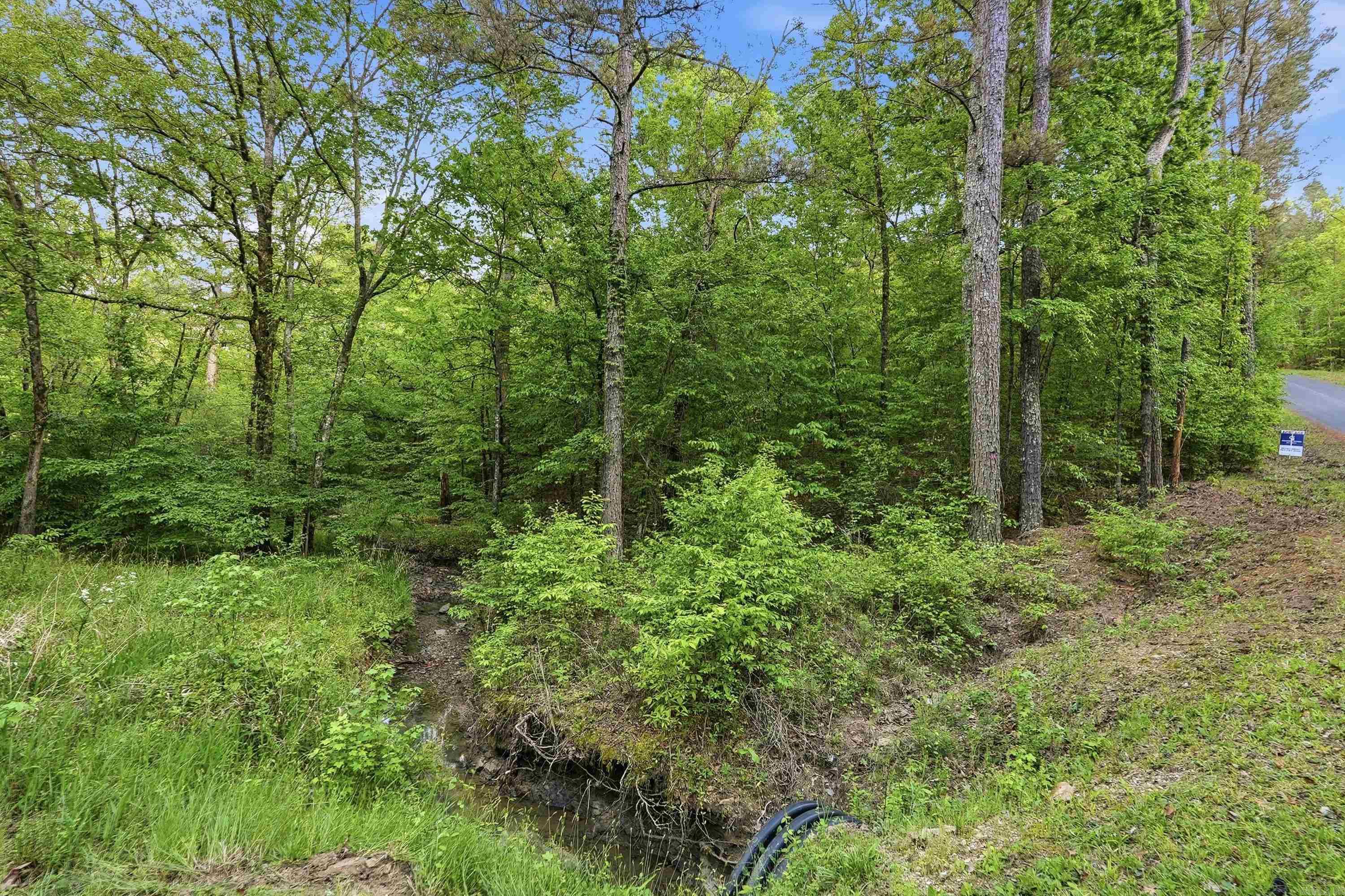 Lake Catherine Lakeview - Land