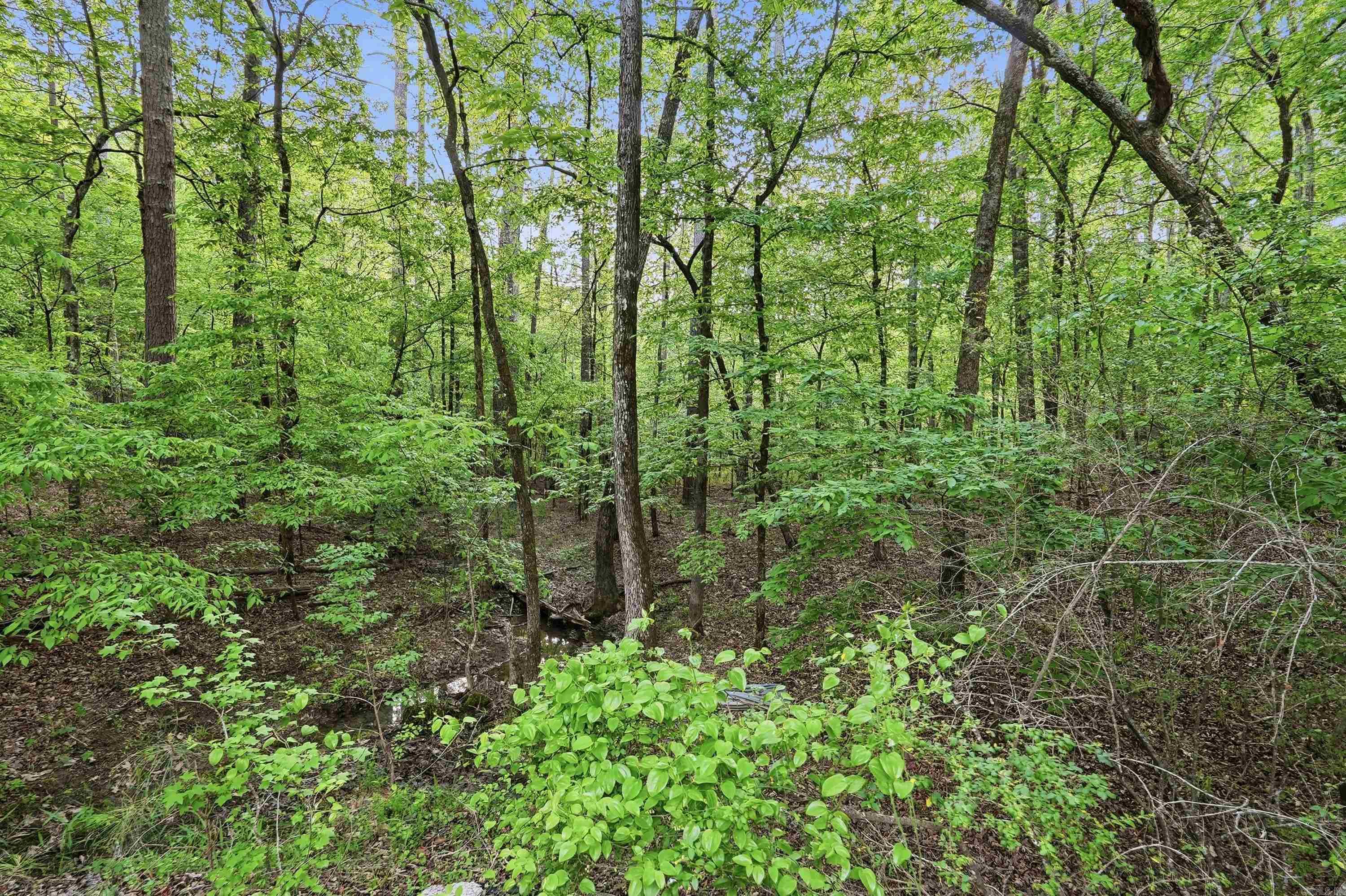 Lake Catherine Lakeview - Land