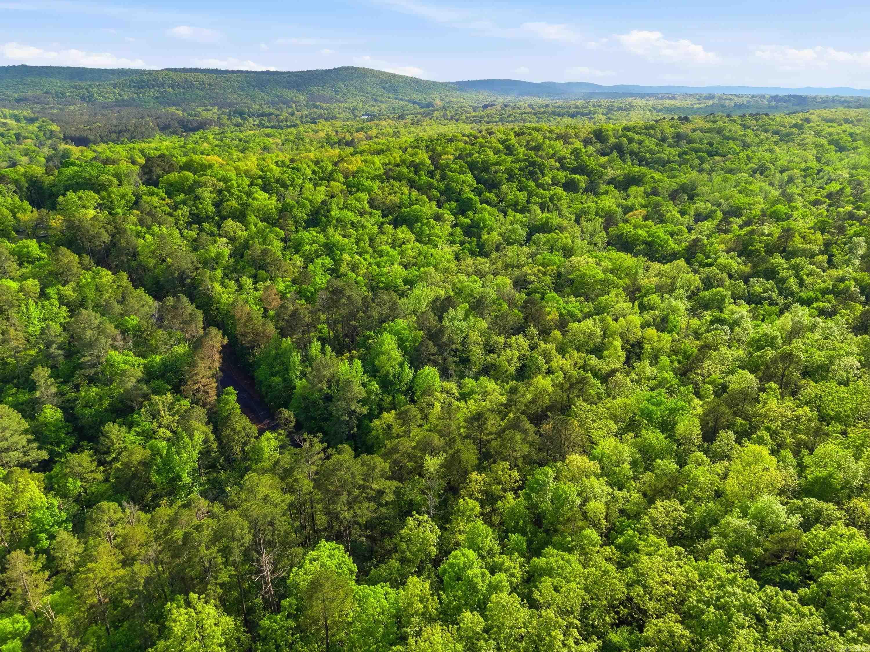 Lake Catherine Lakeview - Land