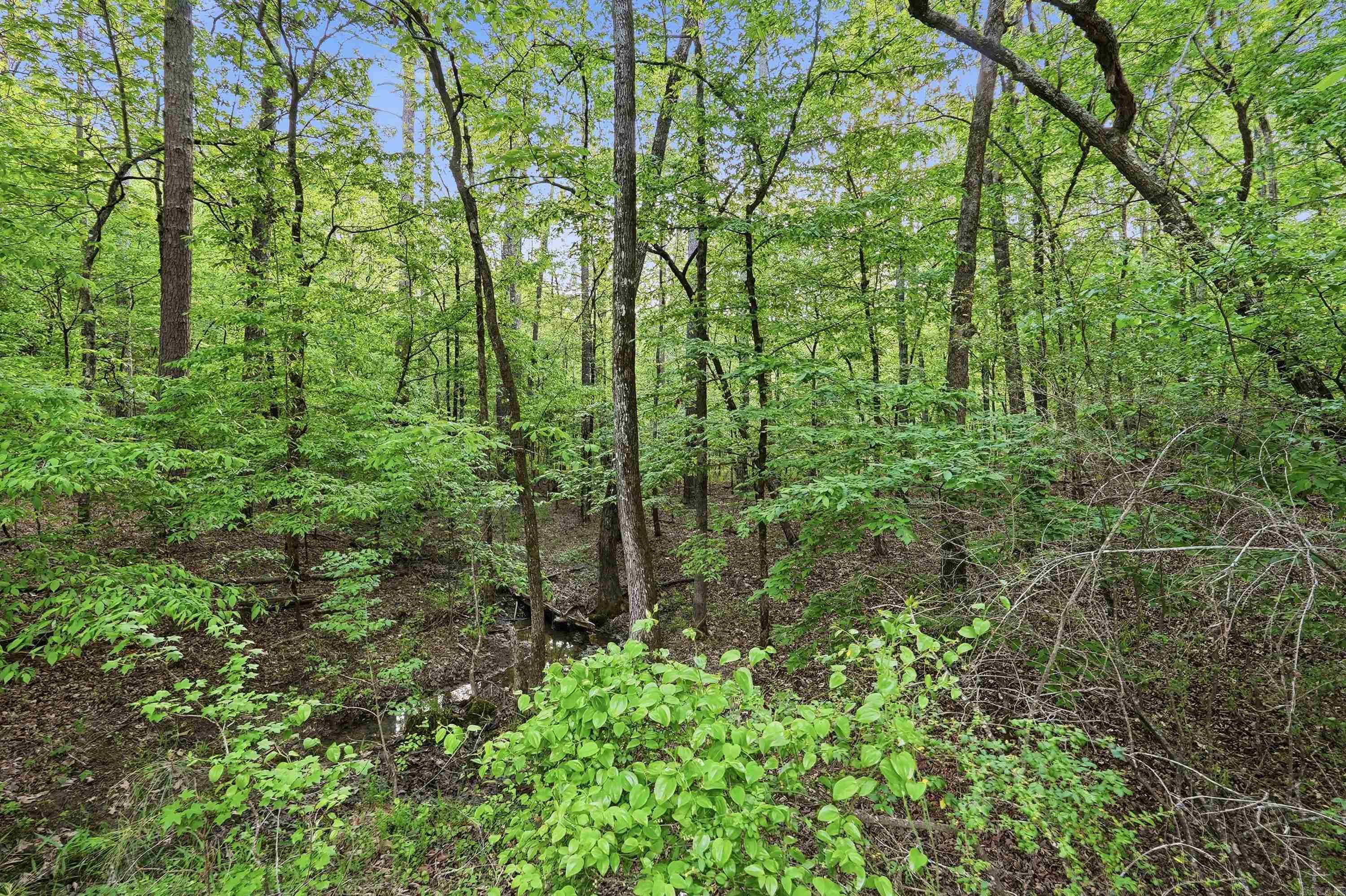 Lake Catherine Lakeview - Land