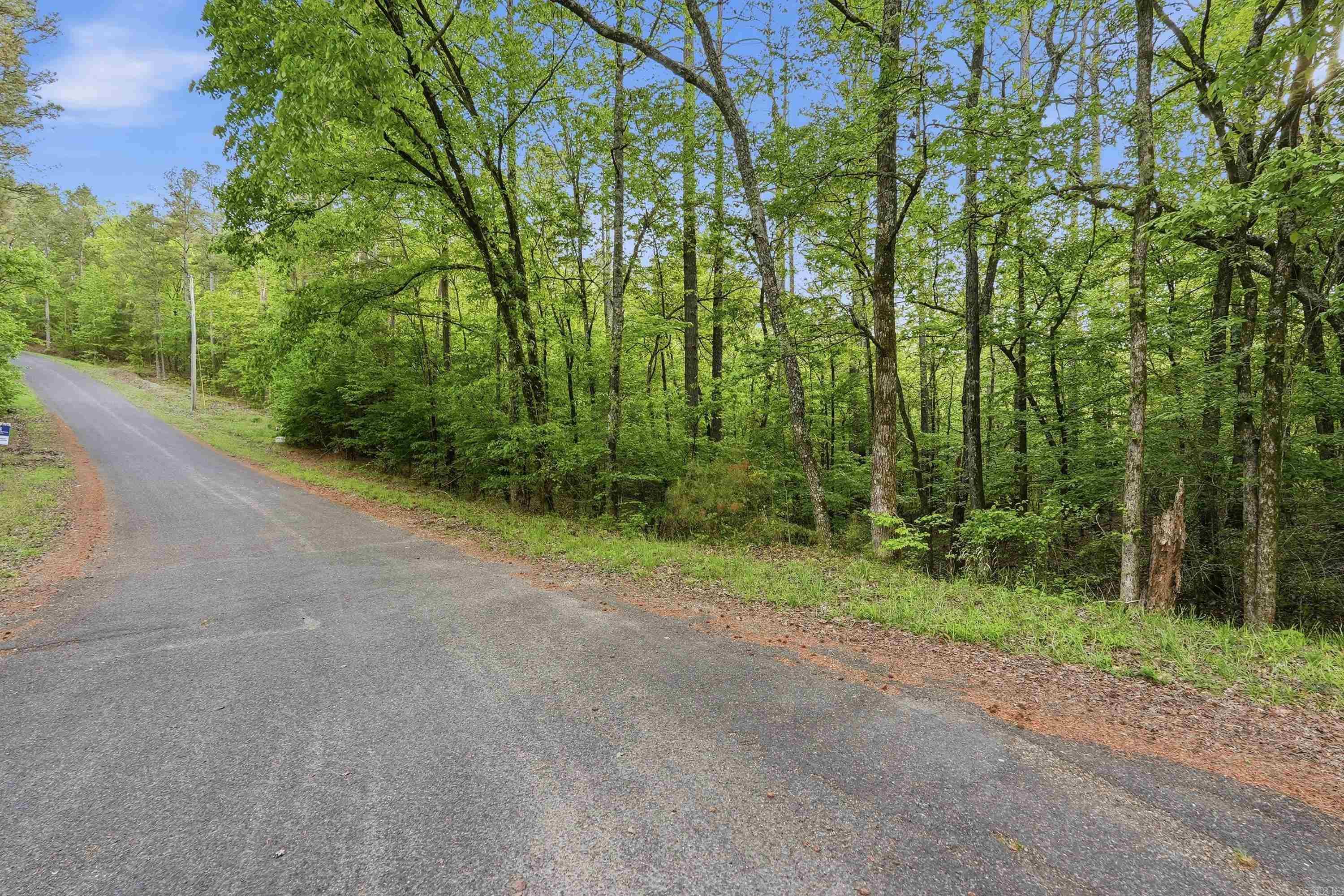 Lake Catherine Lakeview - Land