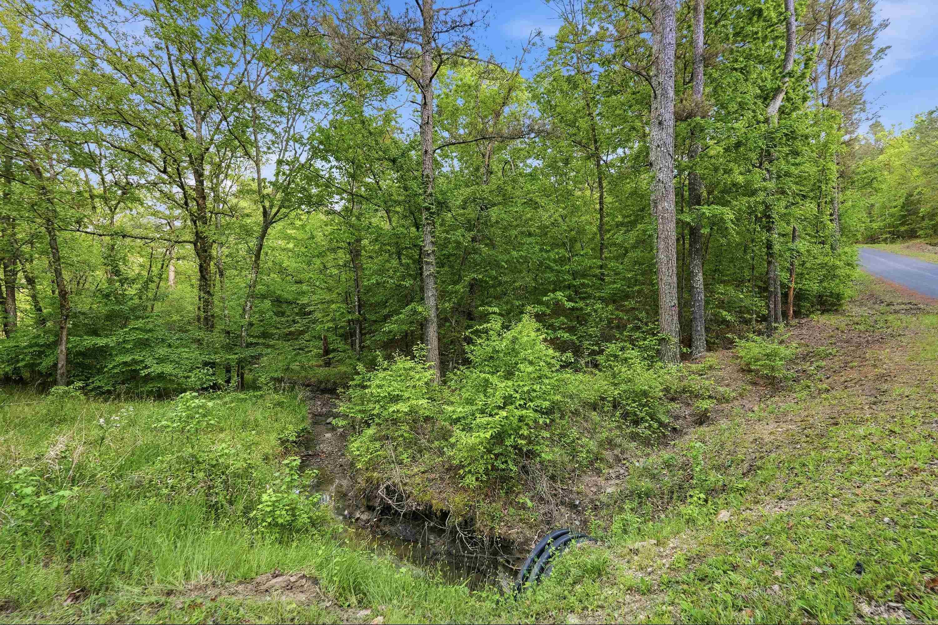 Lake Catherine Lakeview - Land