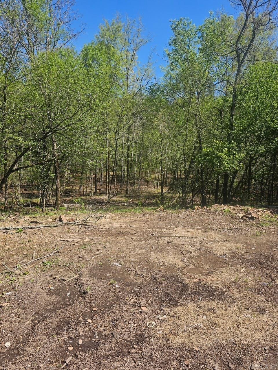 Perfect small acreage tract off the beaten path! Electricity and water are on the property. Property is great for that beautiful country home. Lot B