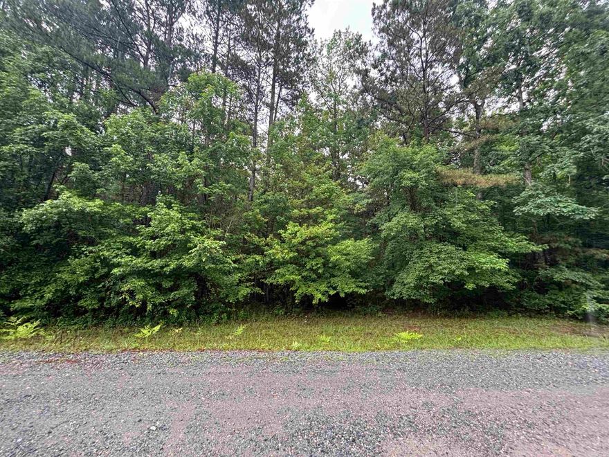 Beautiful 10 acre tract with lots of trees. East access to freeway. Great school district. This property can have access at the road to utilities. Please see remarks for city water access.