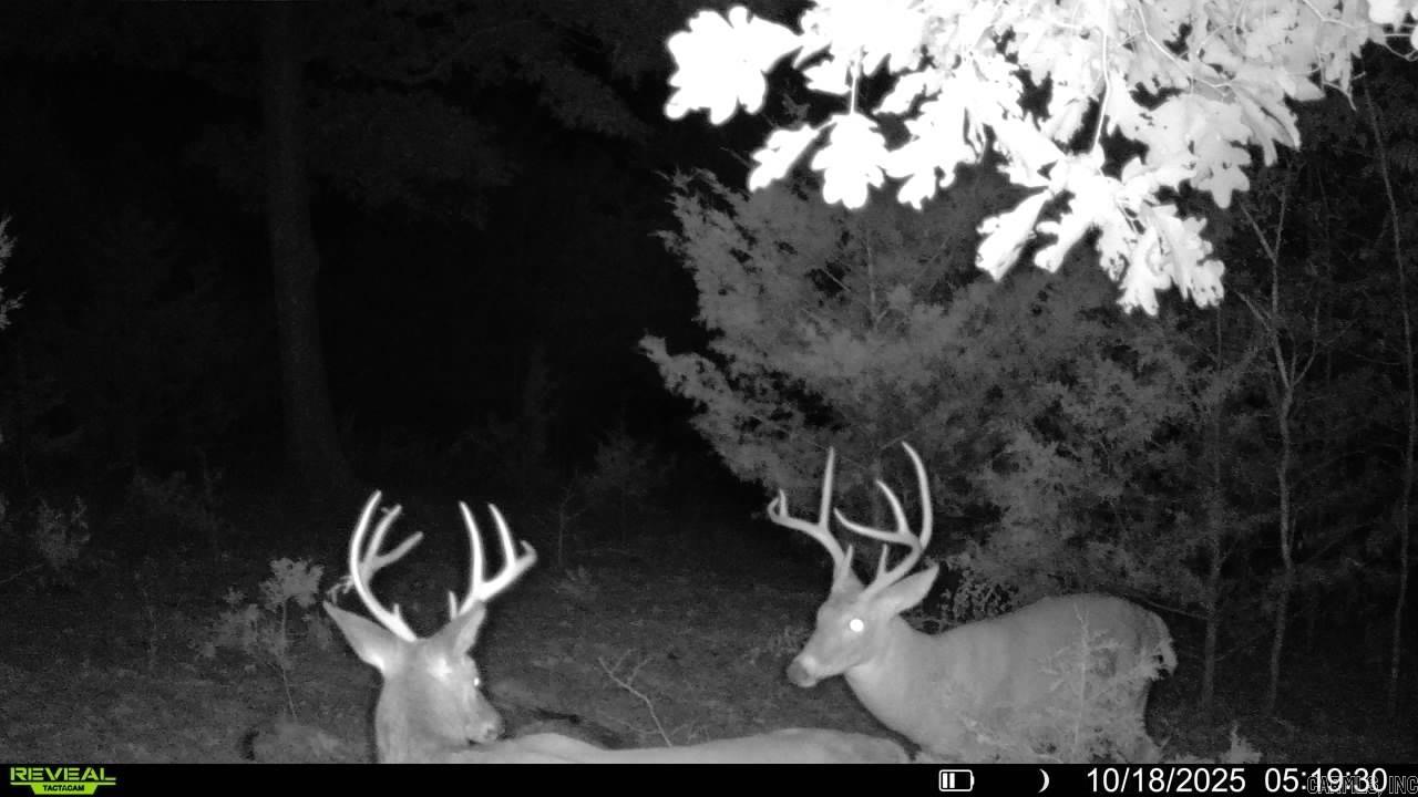 WEBBS LANDING - Residential