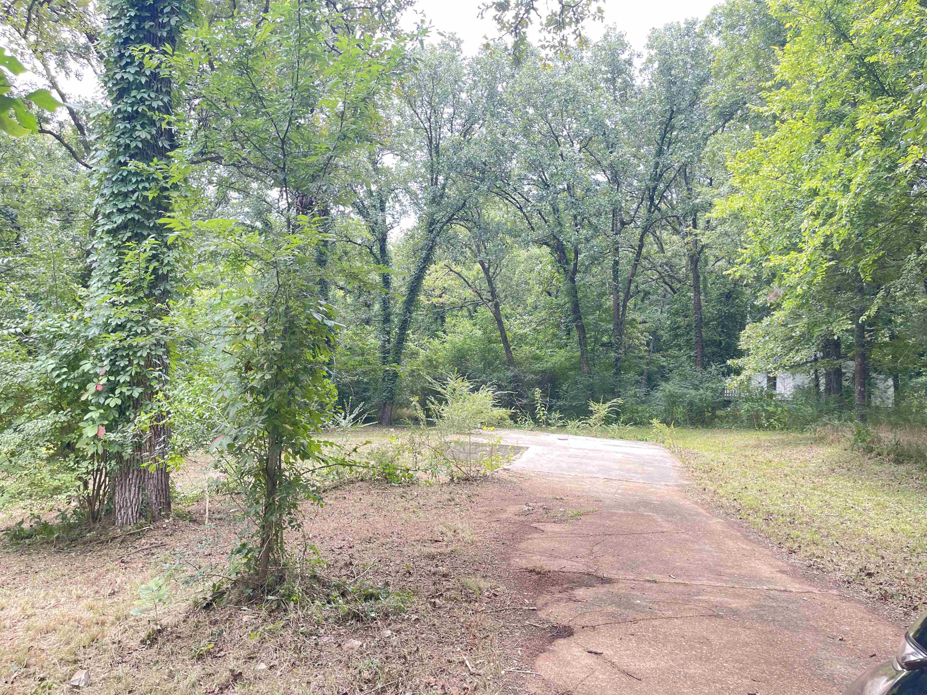 Residential building lot. There was a house that burned and cleared away leaving a carport and driveway. Ā Ready for your new home! Ā Septic in place. Ā City water. Centrally located in Cherokee Village and very close to South Fork River. Ownership gives amenities that include 7 lakes - 2 skiing, 2 recreation centers with pools, and 2-18 hole golf courses. Ā The North Golf course and the South Fork River are just a couple minutes away. The main fire department in Cherokee Village is only a minutes away. Great location just off main road going thru Cherokee Village. Possible owner financing to qualified buyer.