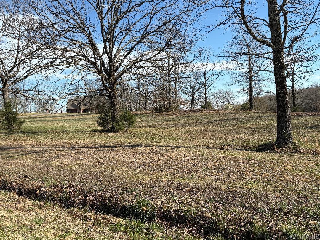 Copperas Springs Estates - Land