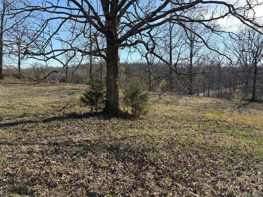 Copperas Springs Estates - Land