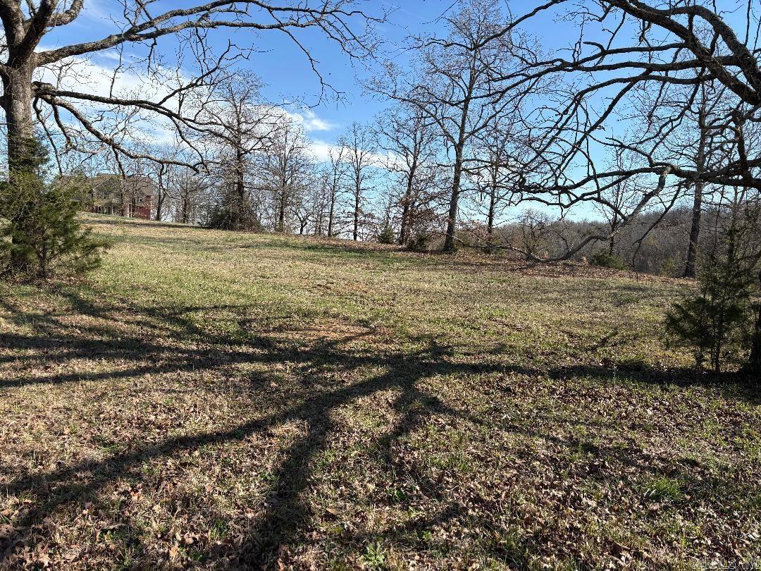 Copperas Springs Estates - Land