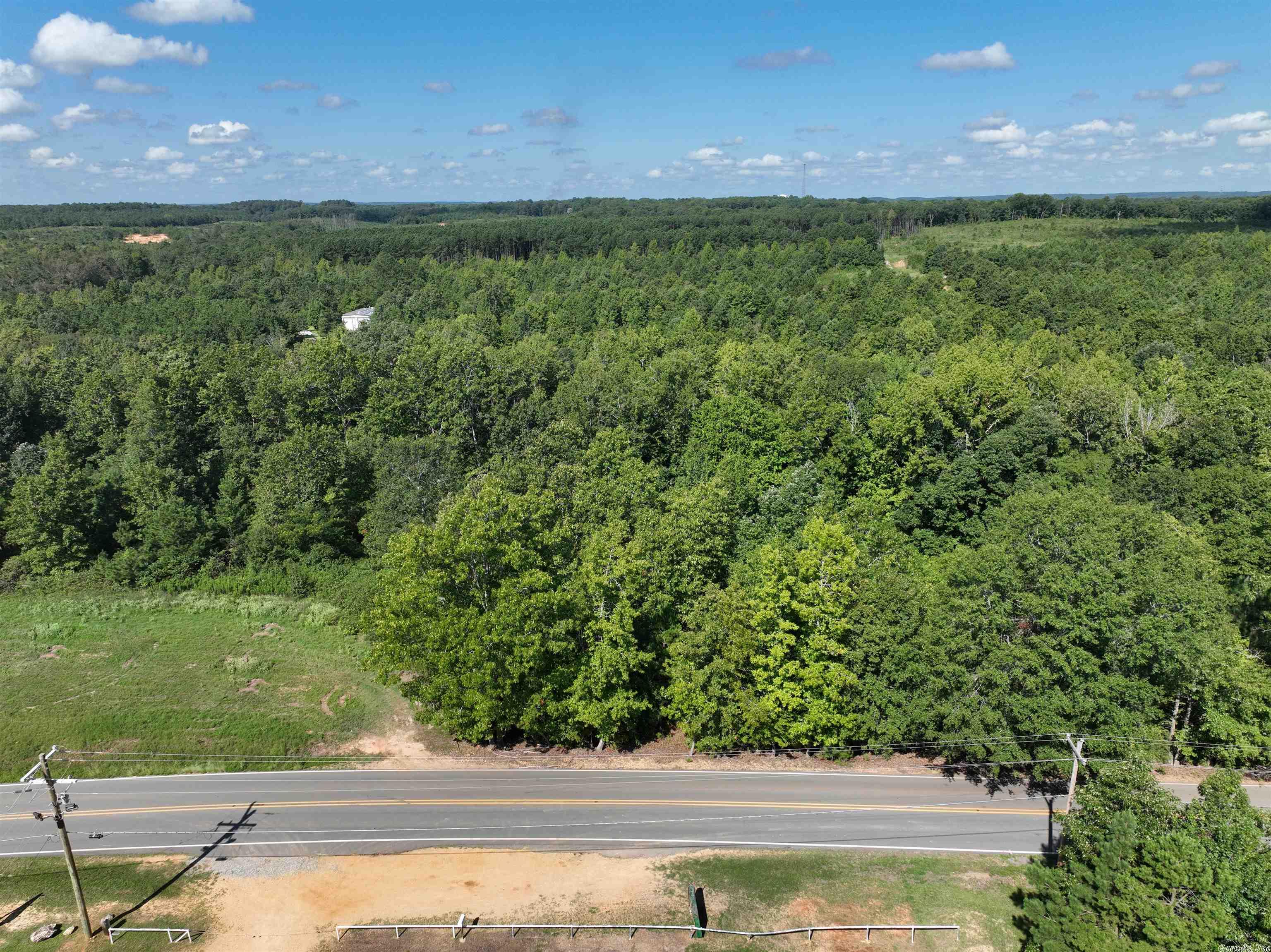 Mountain Pine - Land