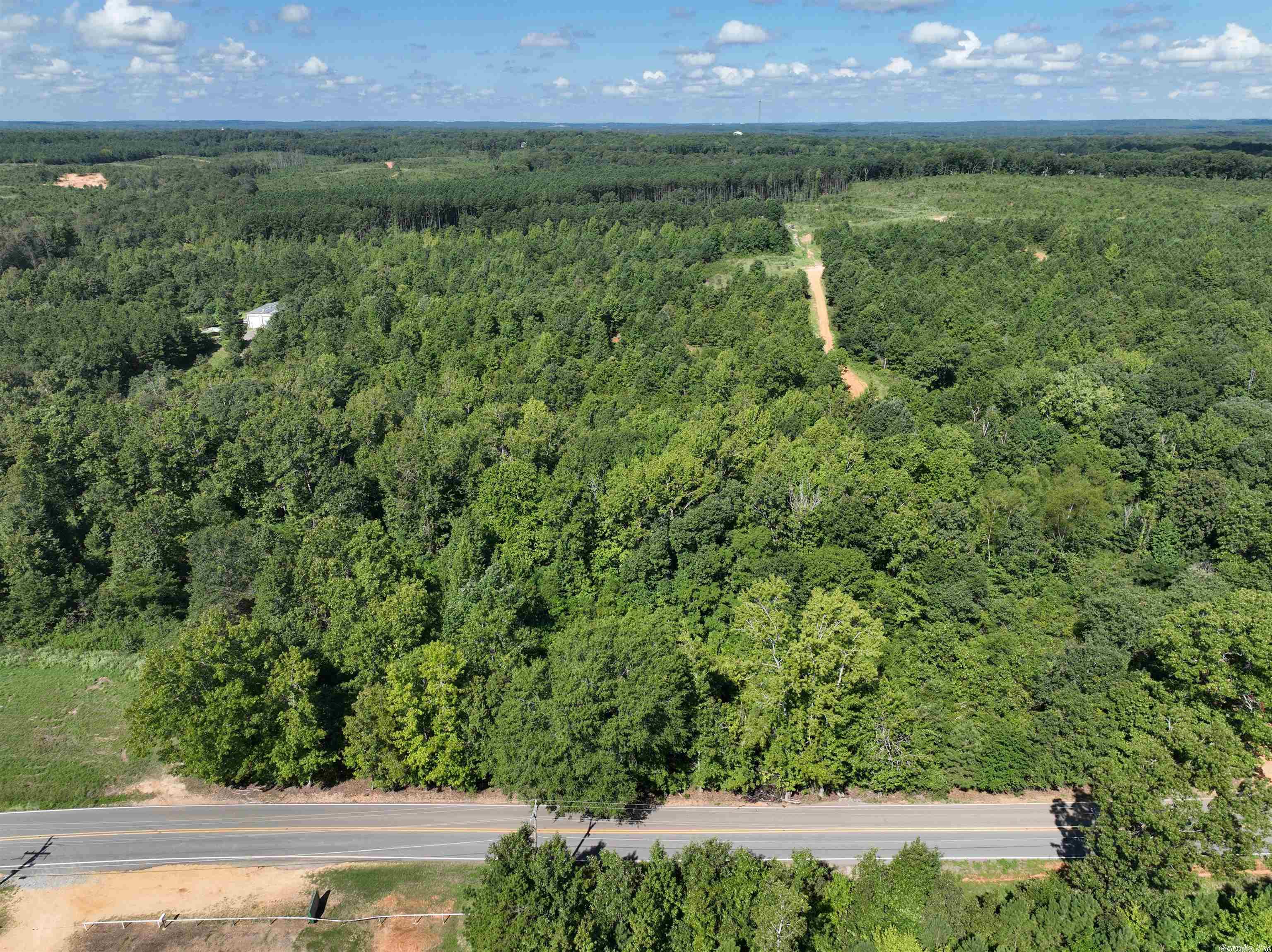 Mountain Pine - Land