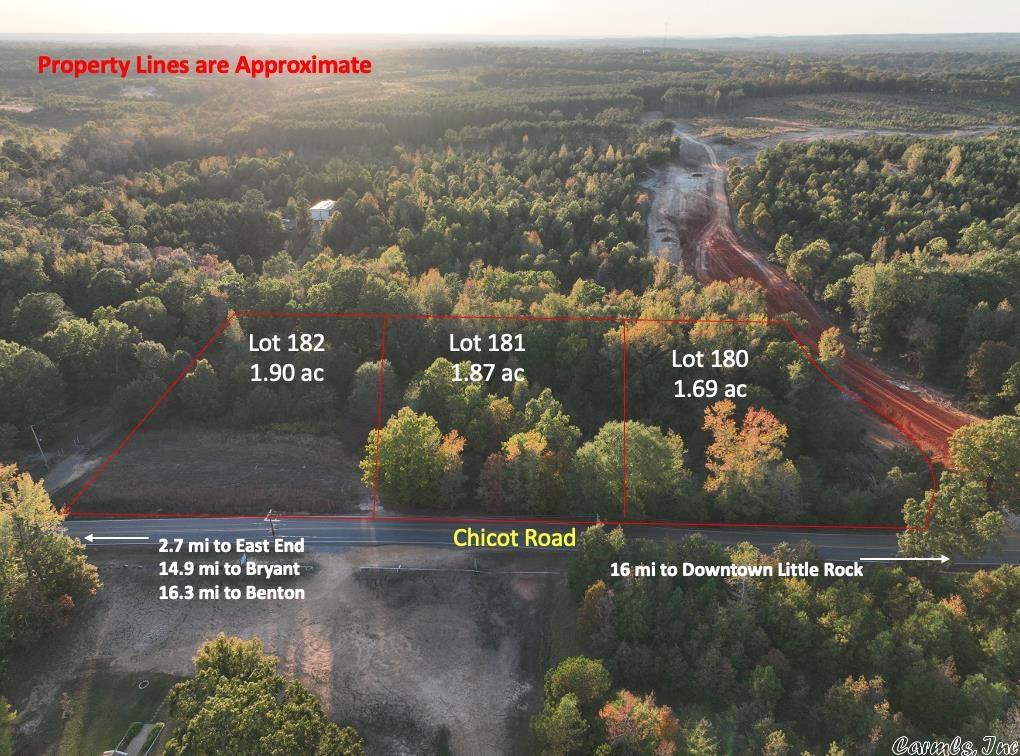 Mountain Pine - Land