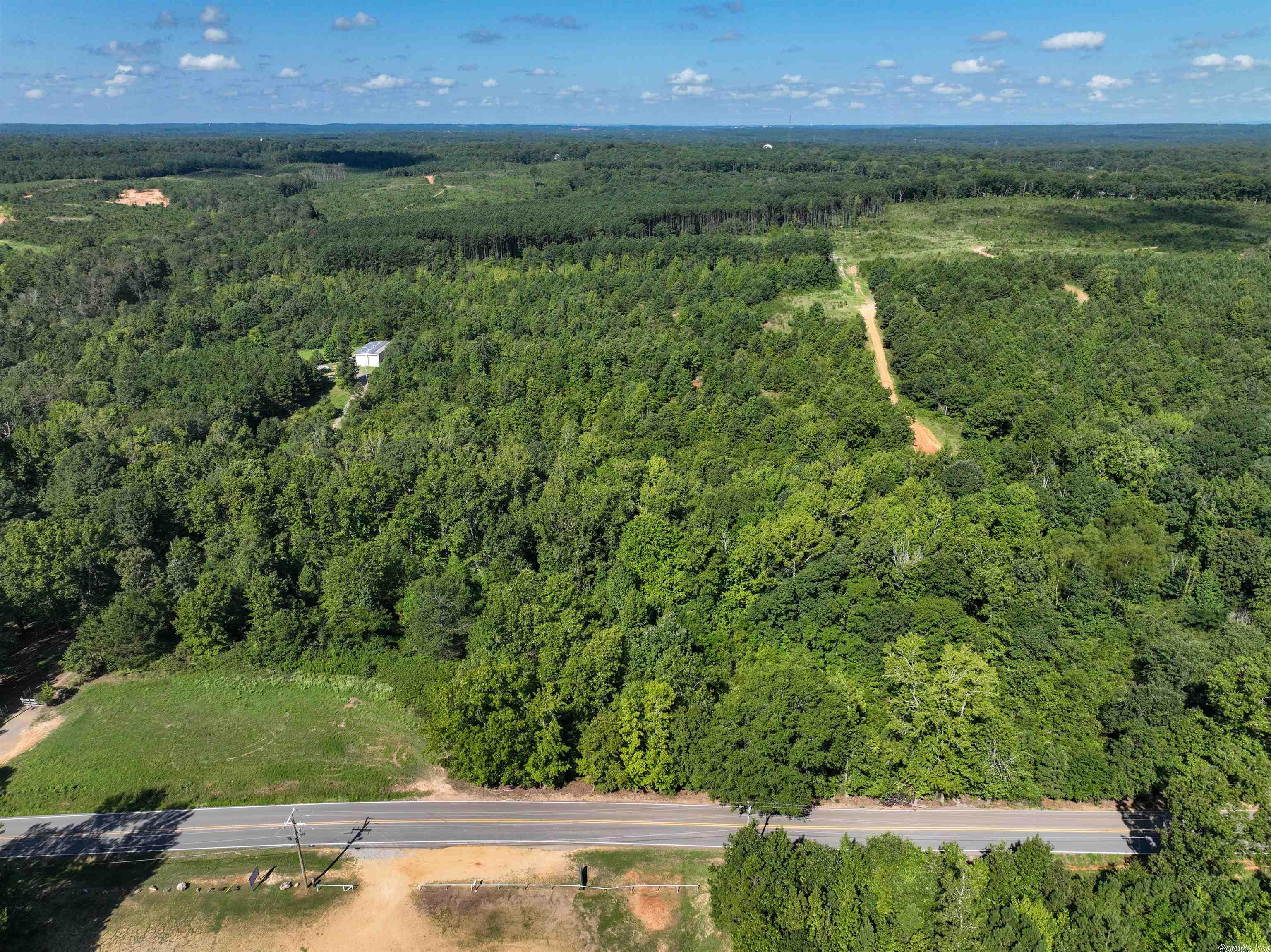 Mountain Pine - Land