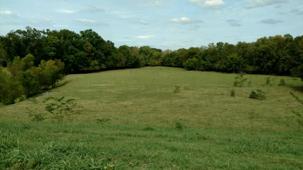1054 acres located in SW AR on Hwy 29 N. Ideal for grazing cattle. Approx. 150 acres of mature hardwoods. Also, great fishing and hunting, including ducks, deer, turkey, squirrel and hogs. Pastures are improved native grasses with a 100 acre hay meadow. Corral has a cover over the working area. Perimeter fence and cross fences are in good condition.
