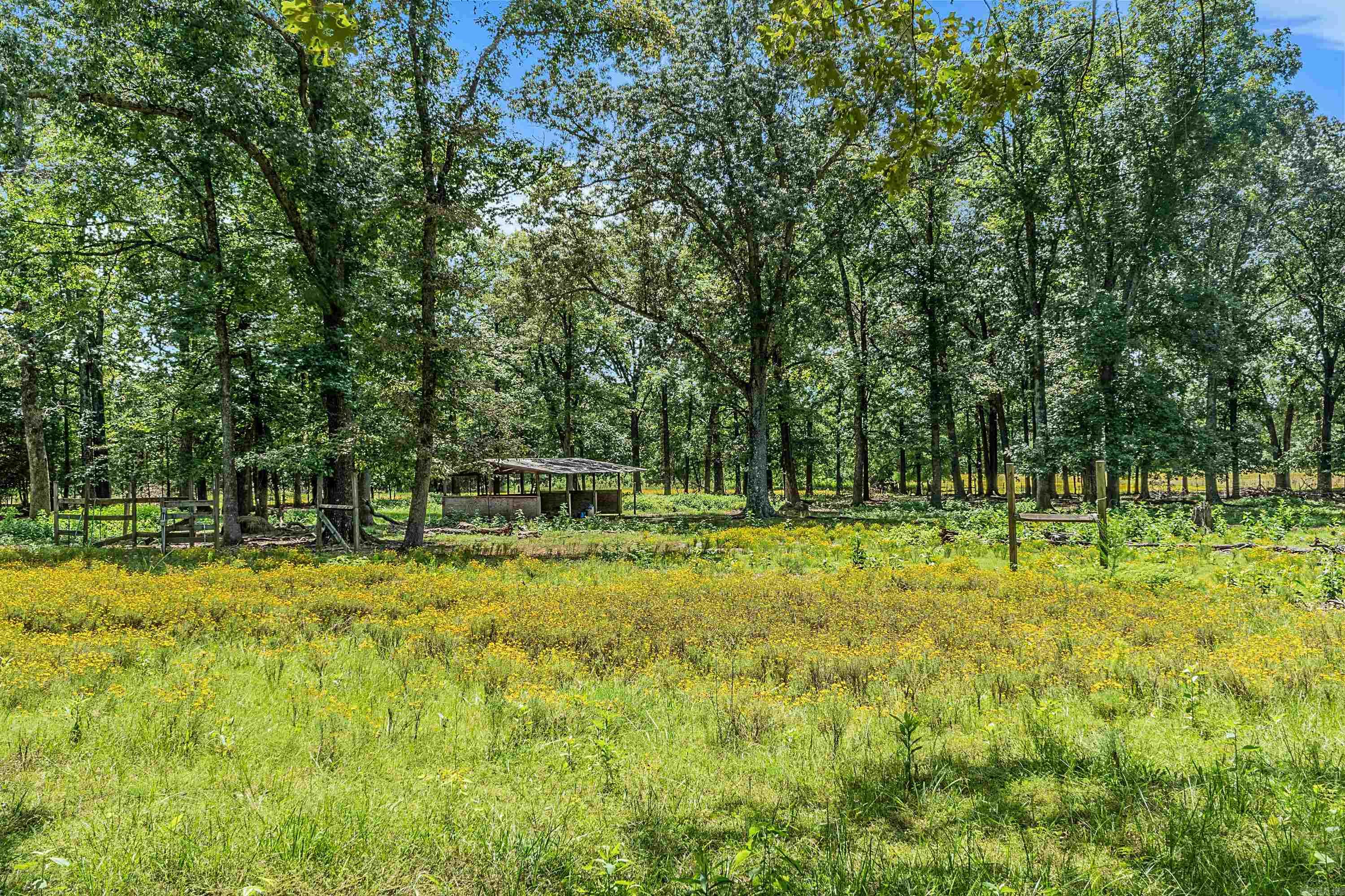 Jacksonville - Residential