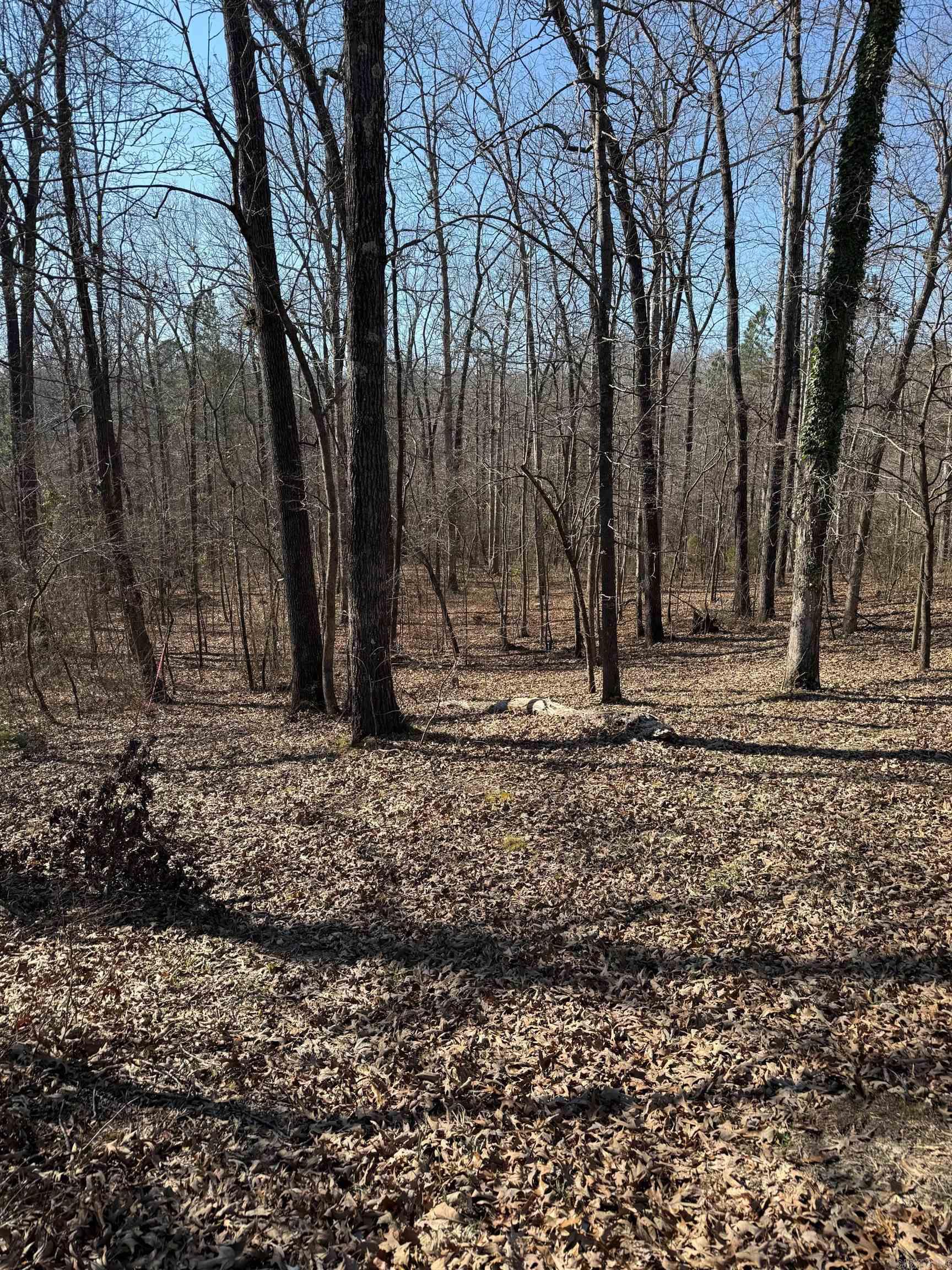 Metes & Bounds - Land