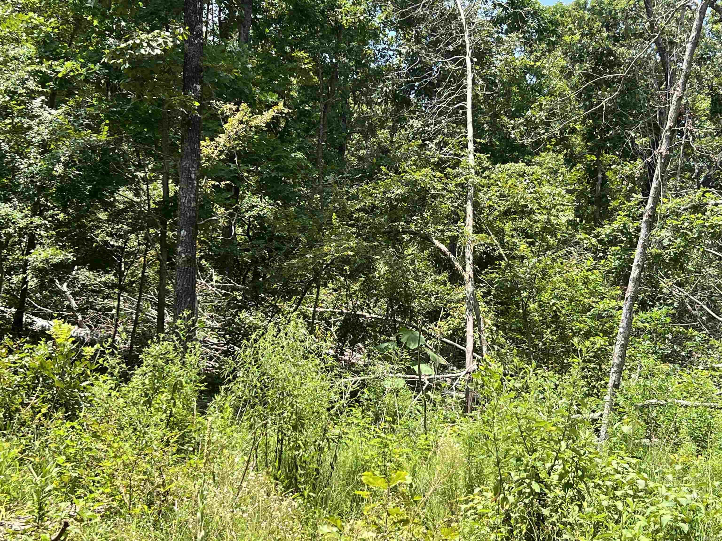 ACREAGE/RECREATIONAL/HUNTING 6.19 acres mostly all in woods, various oak trees, fronts on two county roads, various access points. A good place to spend some time in the woods and nature, set up a camp. Approximately 3 mile to public access point on Spring River for fishing and boating. Offered @ $21,500.
