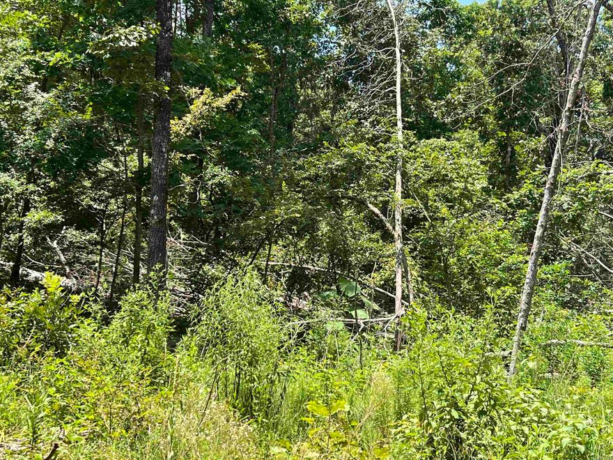 ACREAGE/RECREATIONAL/HUNTING 6.19 acres mostly all in woods, various oak trees, fronts on two county roads, various access points. A good place to spend some time in the woods and nature, set up a camp. Approximately 3 mile to public access point on Spring River for fishing and boating. Offered @ $21,500.