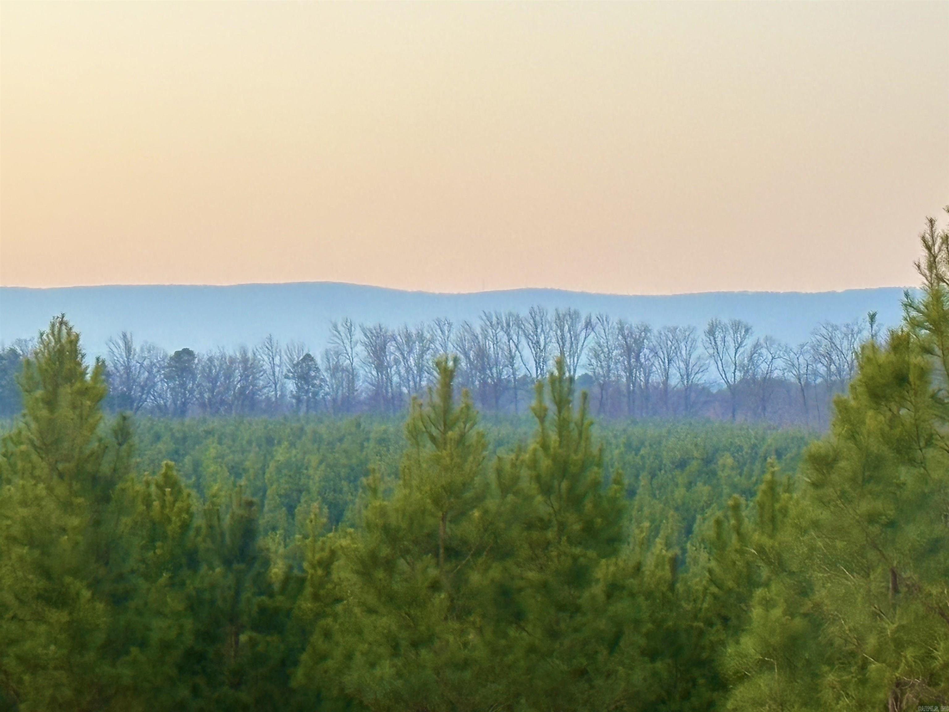 Lake Avalon Estates - Land