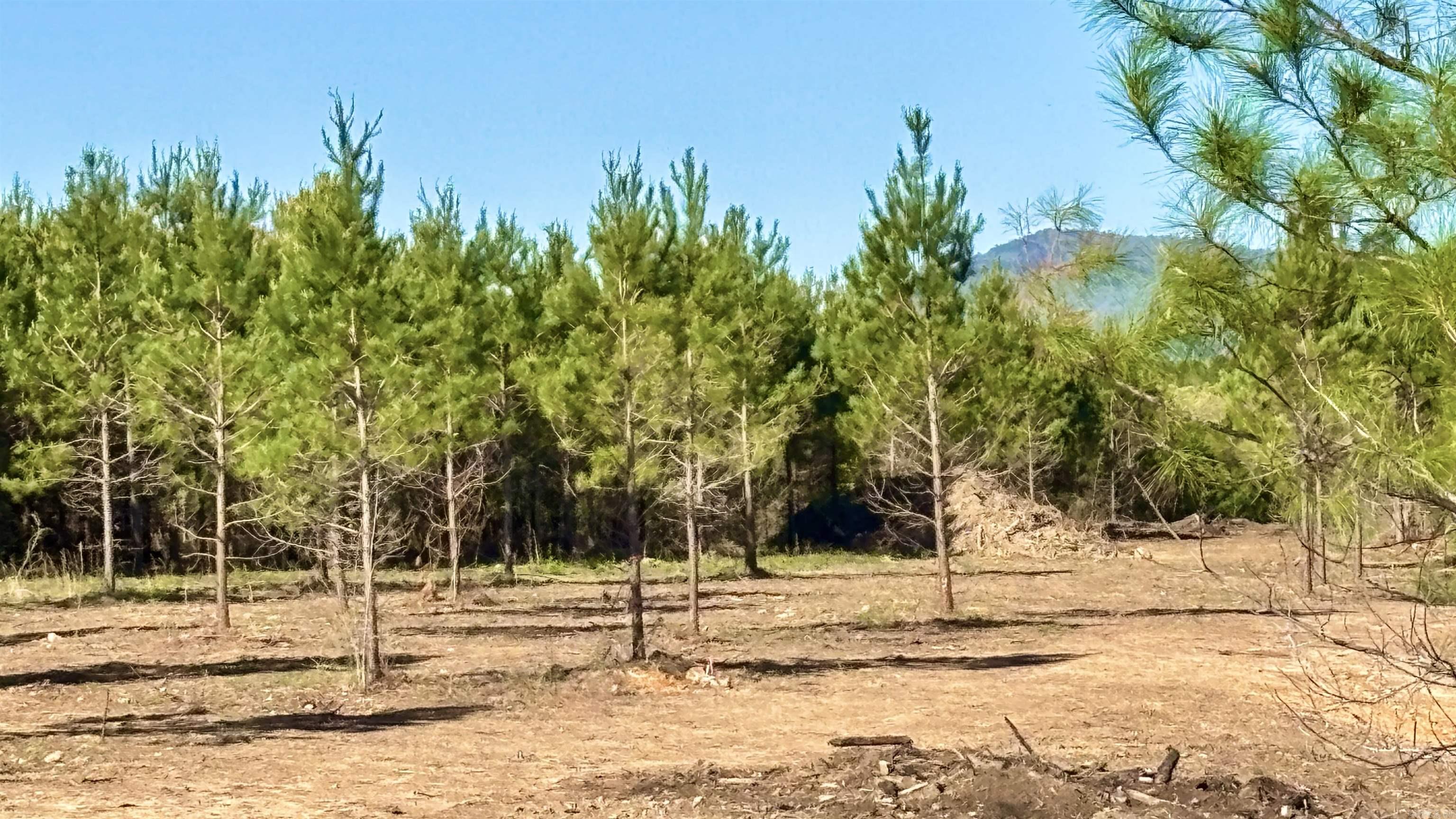 Lake Avalon Estates - Land