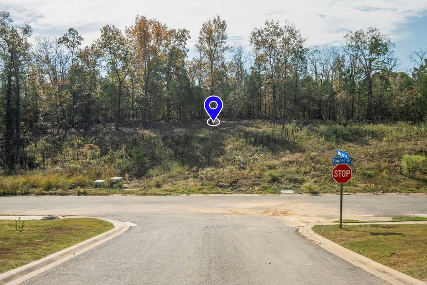 Pawnee Estates - newer subdivision close to 67/167, shopping & schools.  Build your dream home!  Only a few lots left.  Utilities at the street.