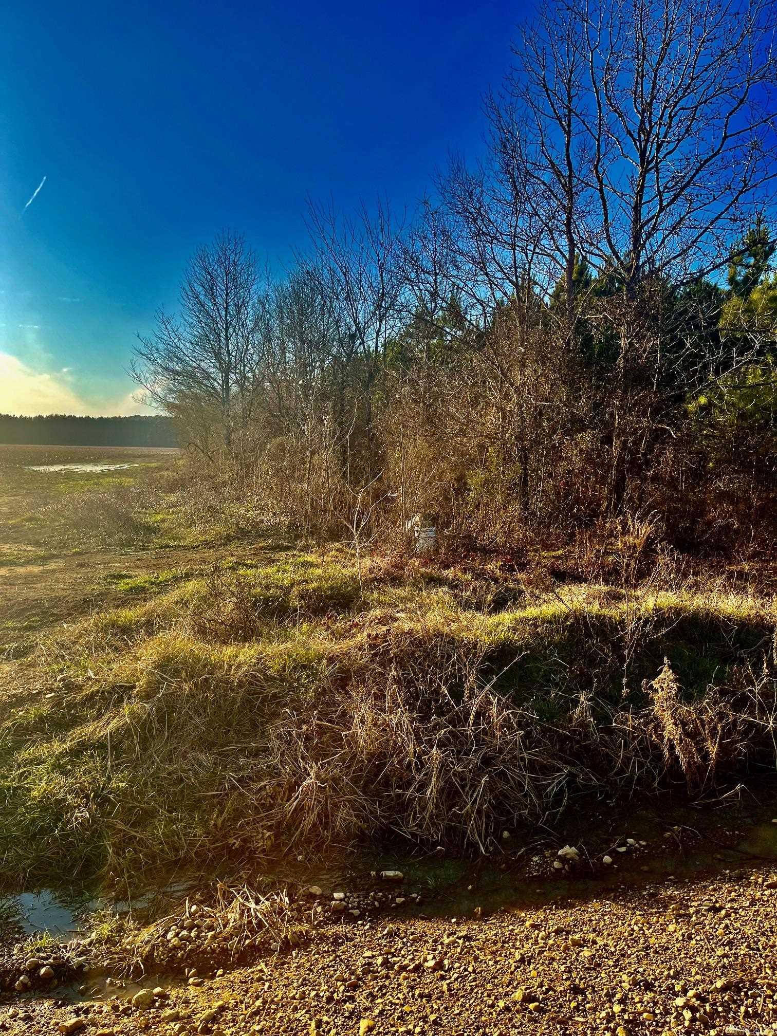 Metes & Bounds - Farm