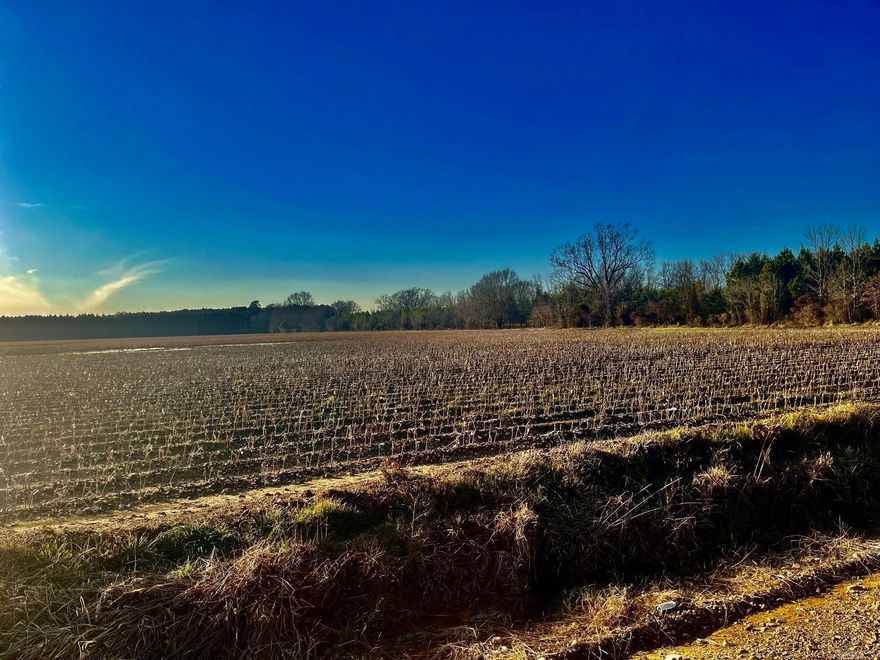 Nice Row crop farm just off the Ouachita River in the Caddo Valley/Friendship area.
