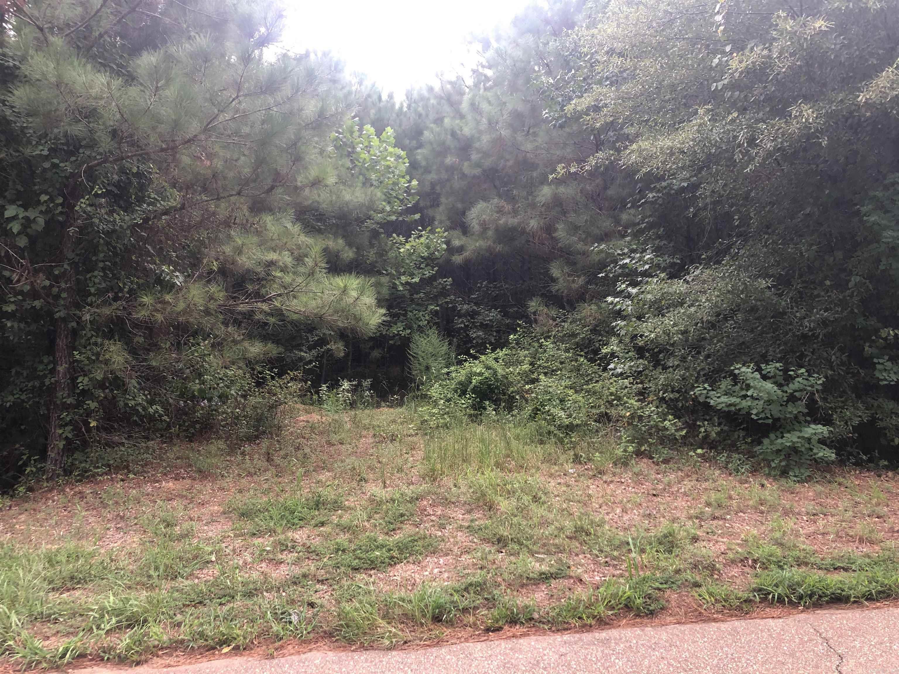 Looking for a little more elbow room and privacy in the Harmony Grove School District?...then look no further! The ‘Mustin Lake Road North Tract’ (#03019-04018) is a ±19.1-acre tract located in the eastern part of Ouachita County just south of East Camden. With most rural utilities, this property holds numerous possibilities and the pine plantation that is about ready for a first commercial thinning should provide all the seclusion you need. Call the Neeley Team and ask about ‘Mustin Lake Road North’! And if you are looking for additional acreage for even more privacy or acreage for all those other plans then check out ‘Mustin Lake Road South’, which is an adjoining 35.6 acres that is also for sale! Legal Description: Part of the Northwest Quarter of the Southwest Quarter (Pt. NW¼ SW¼) of Section 22 in Township 13 North, Range 16 West, Ouachita County, Arkansas.