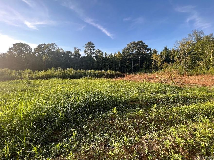 Looking for land coinvent to town? This lot may be prefect for you! With 40 acres, this property has lots of possibilities. Bow hunting? Building your dream home? This property has a beautiful creek that runs through. Property has been partially cleared.