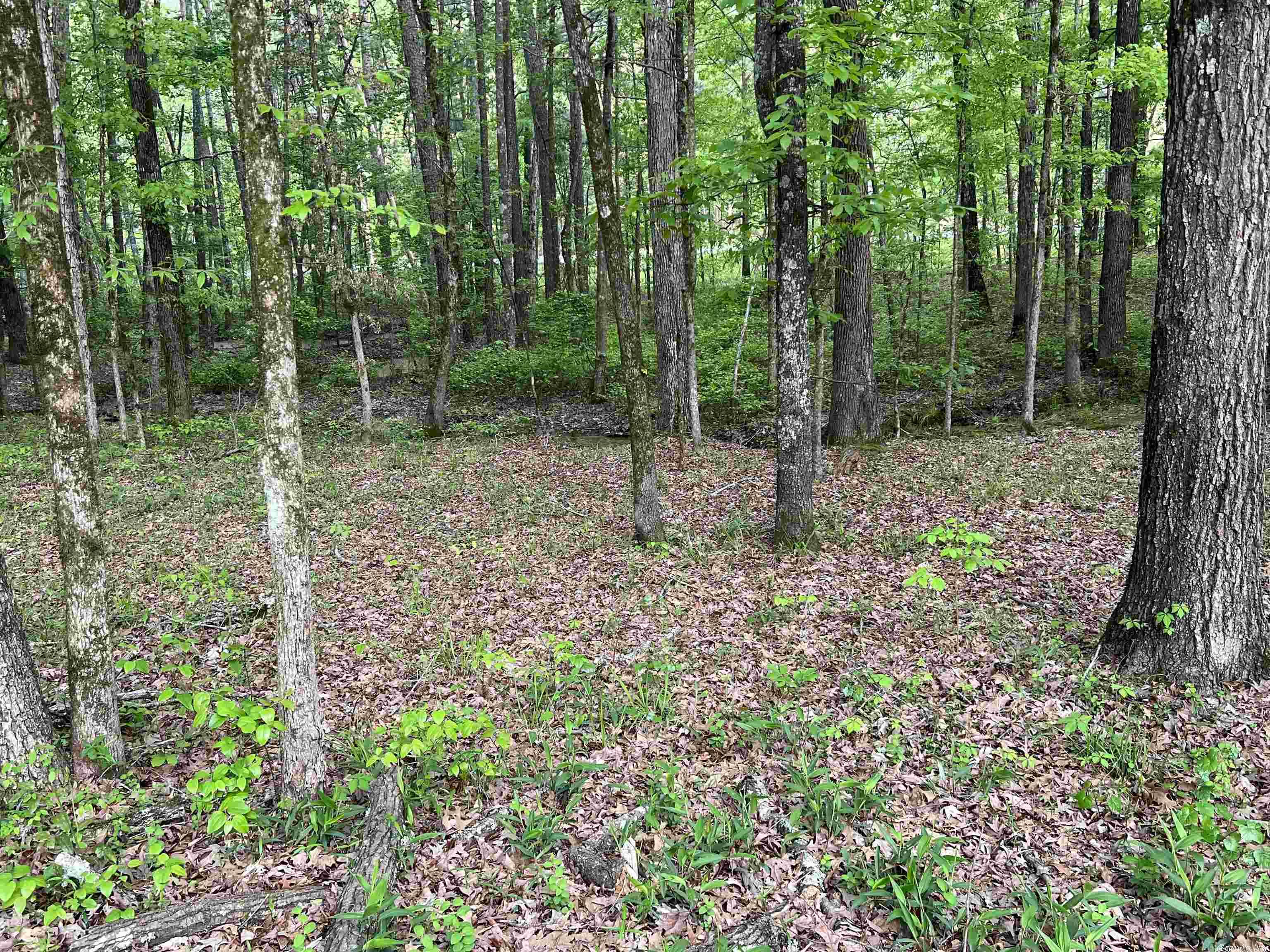 DEER HILL - Residential