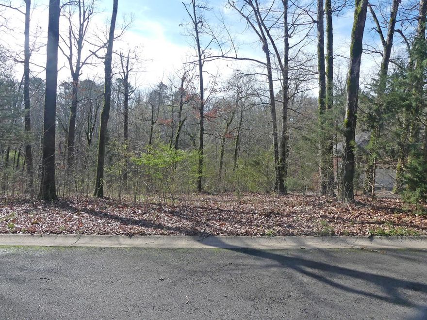 Nice building lot in LSSD