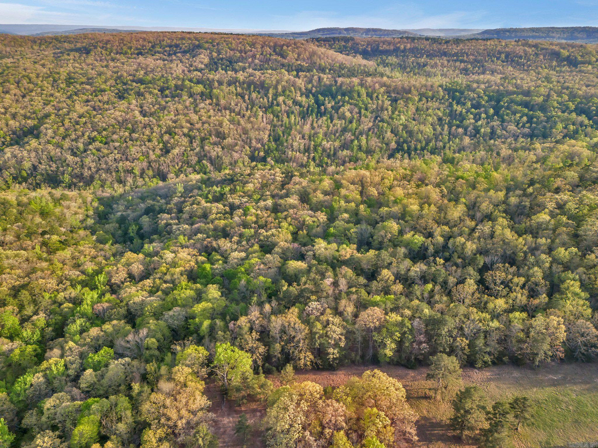 Welcome to your dream hunting retreat! This expansive 120-acre property is a true sportsman's paradise, located in the heart of the scenic Botkinburg community. The land is rich with abundant wildlife, including deer, turkey, and bear, offering exceptional hunting opportunities year-round. The property has stunning natural features such as a cave, bluffs, a waterfall, and a spring-fed creek that runs continuously, even through dry seasons. Whether you're looking for adventure or a peaceful escape into nature, this land has it all. Mineral right do not convey. Don't miss this opportunity to own a breathtaking piece of Arkansas wilderness!