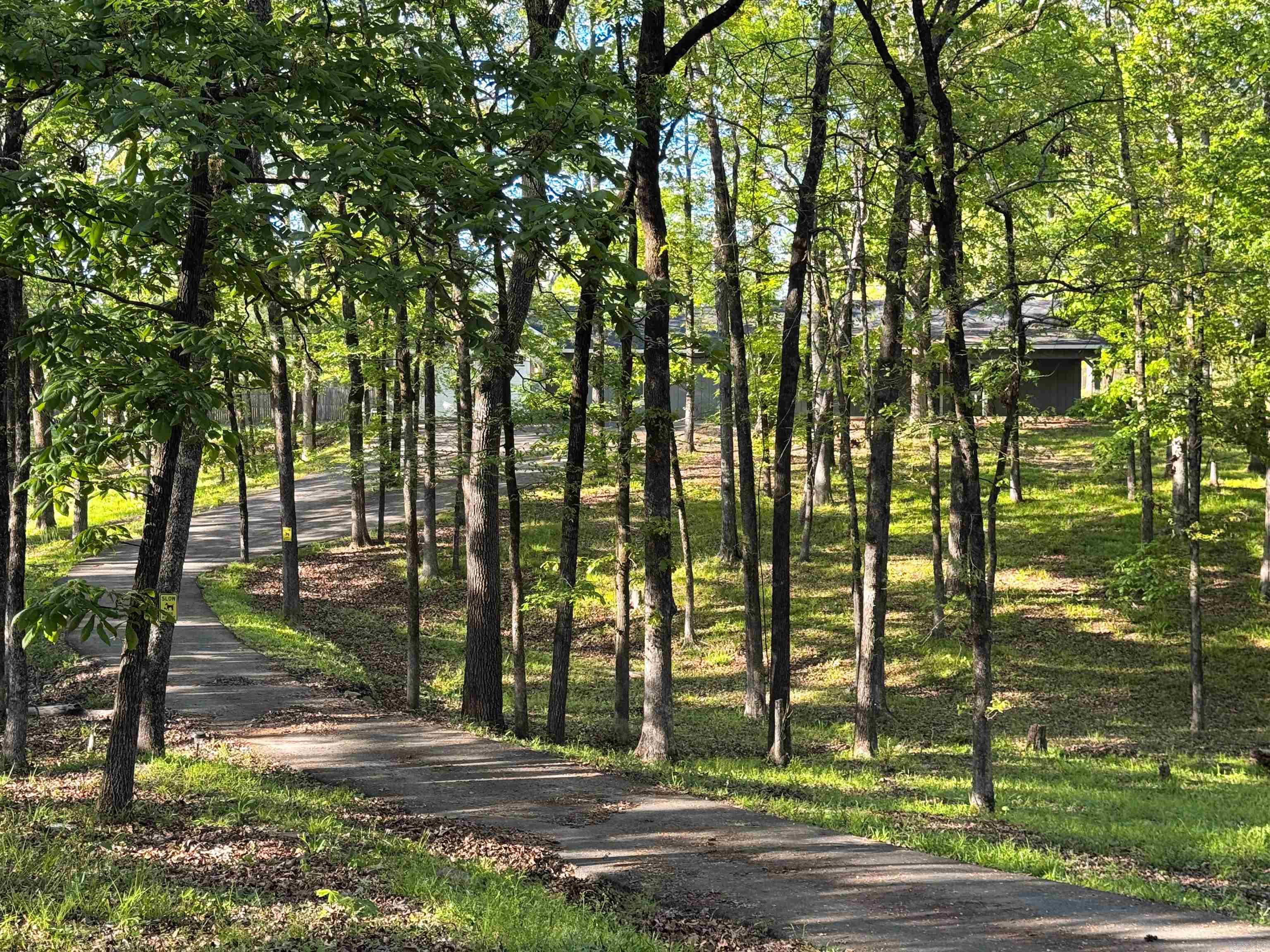 Hot Springs Unplatted - Residential