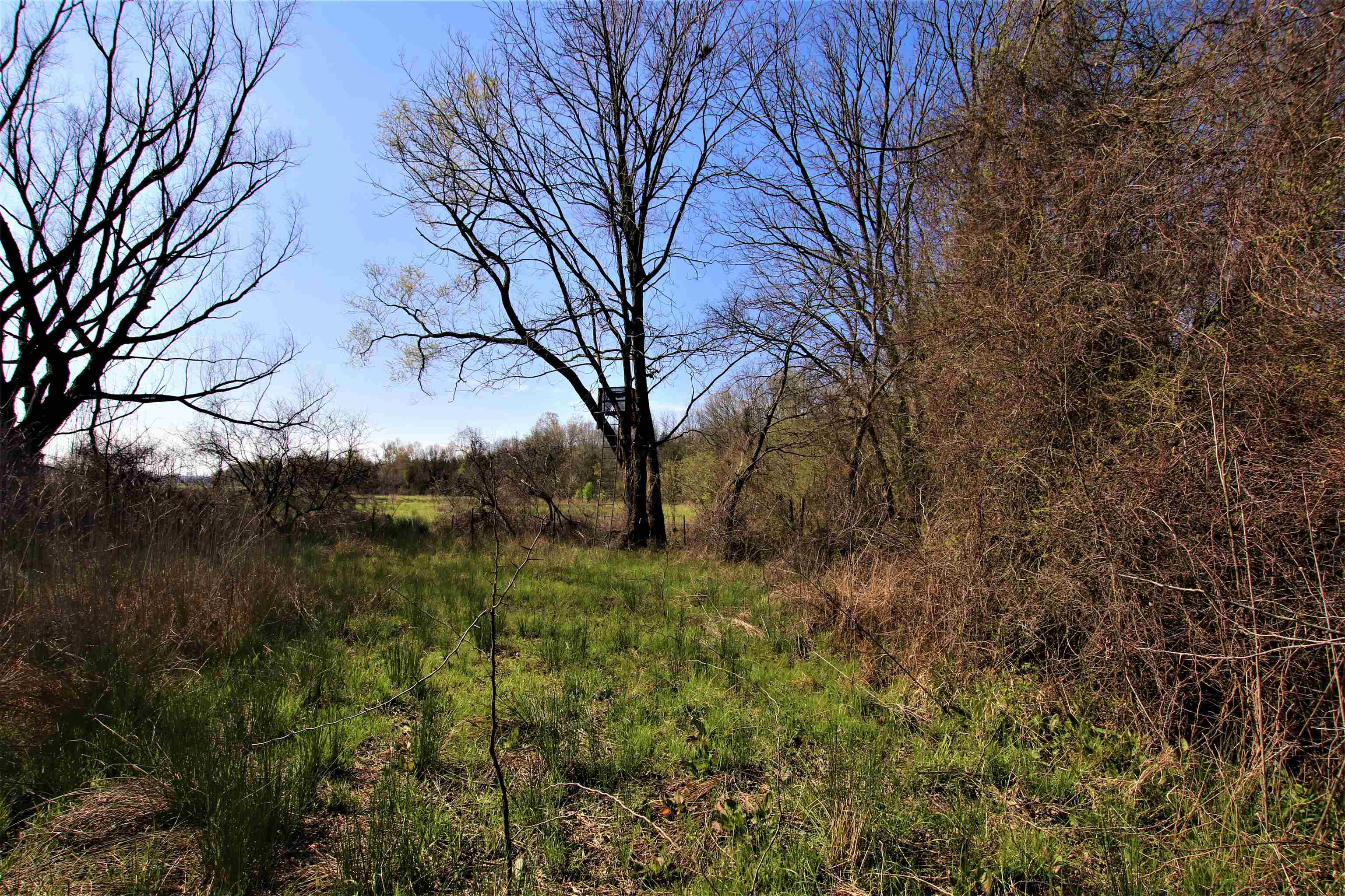 Not in Subdivision - Farm