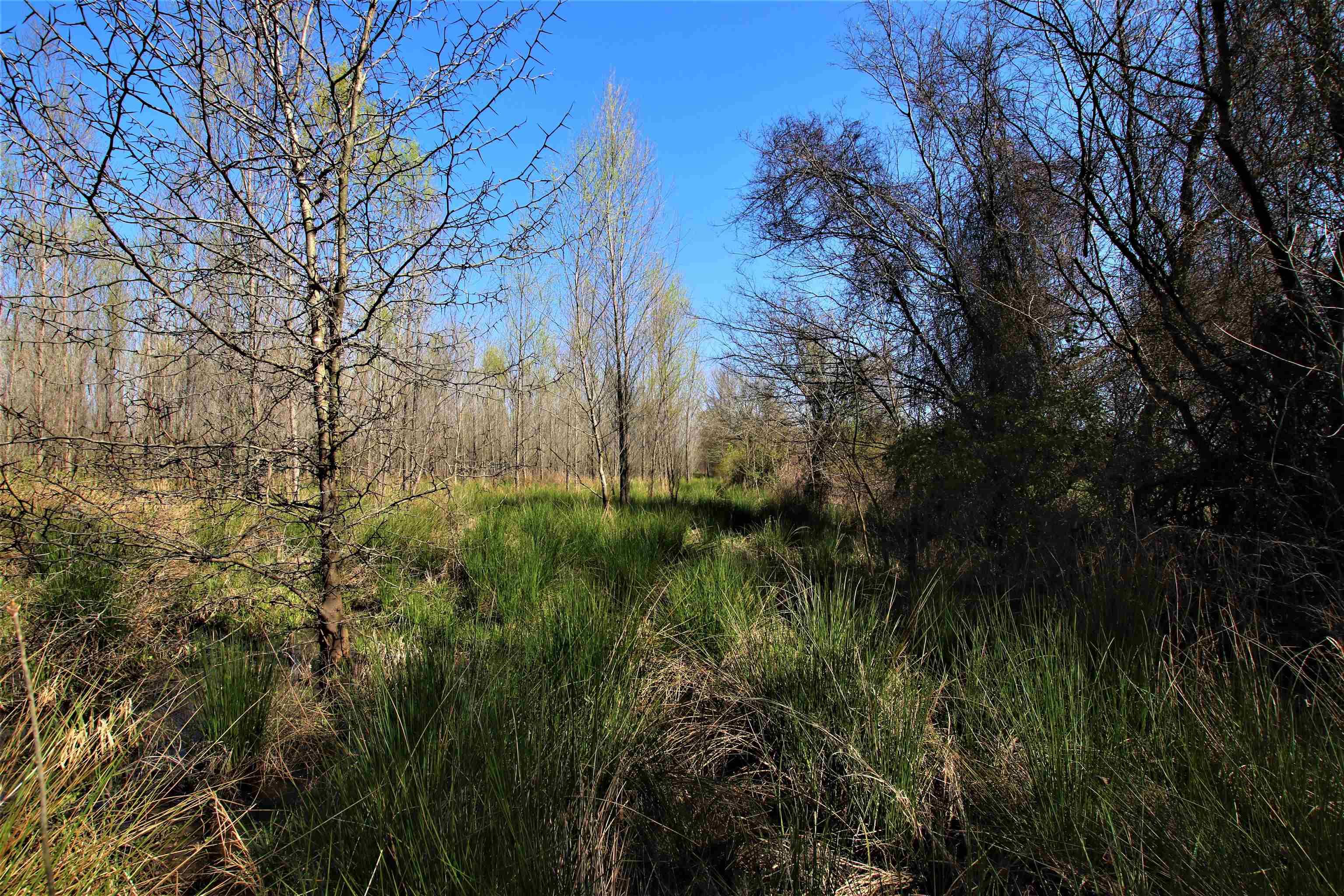 Not in Subdivision - Farm