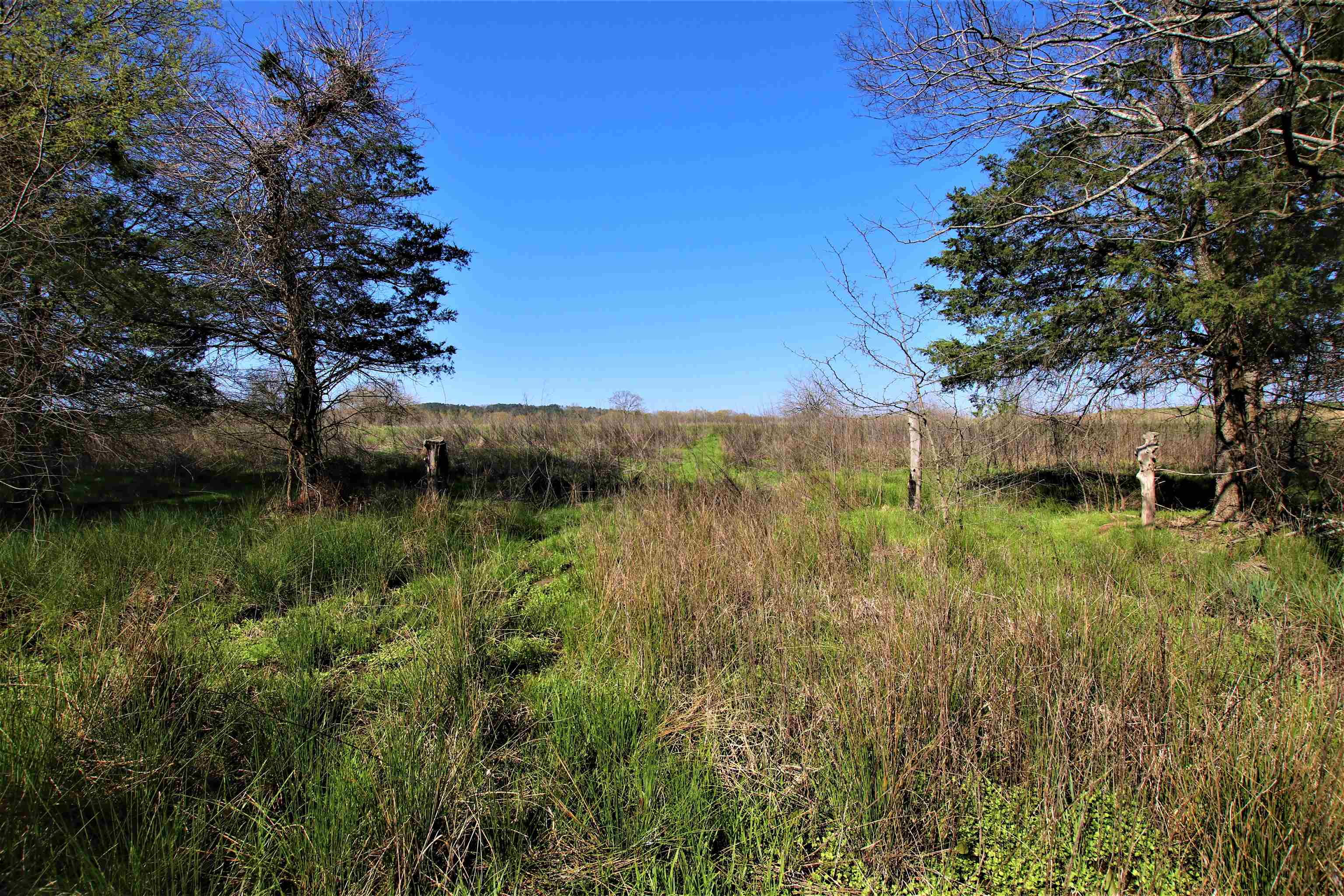 Not in Subdivision - Farm