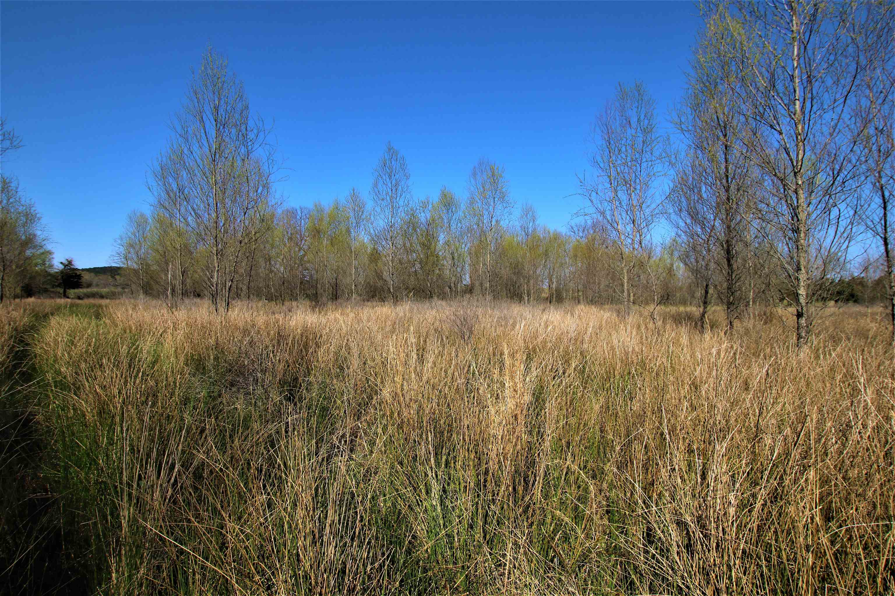 Not in Subdivision - Farm