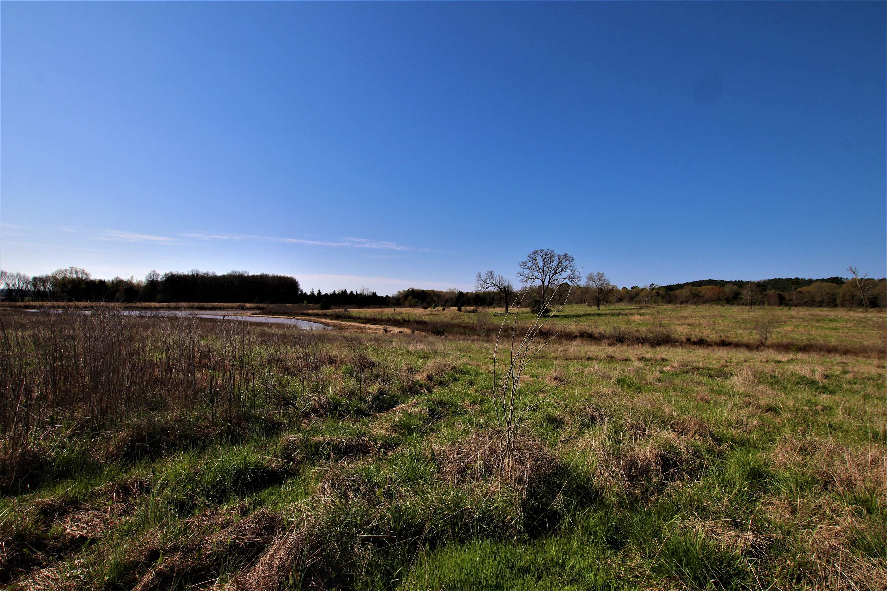 Not in Subdivision - Farm