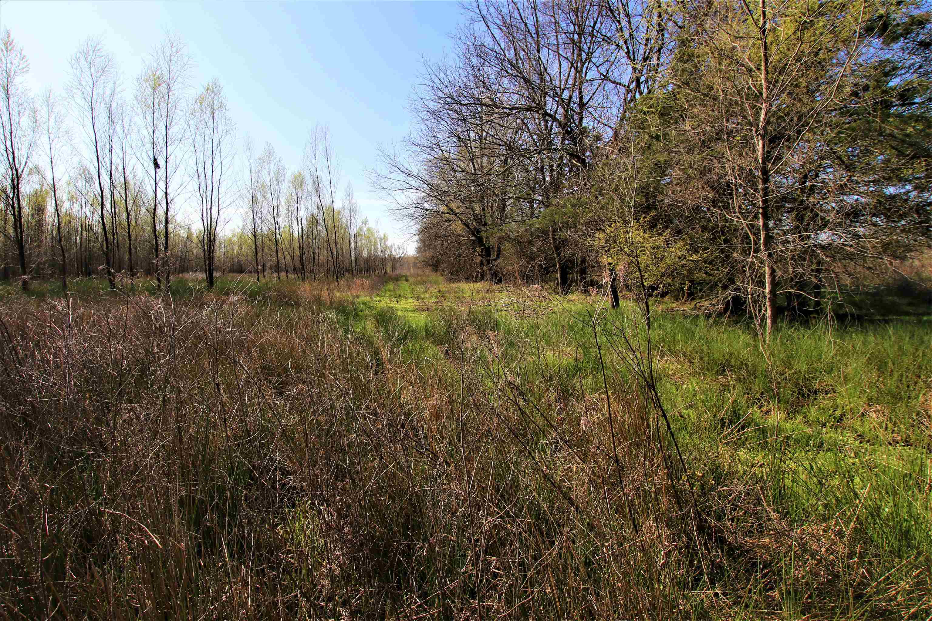 Not in Subdivision - Farm