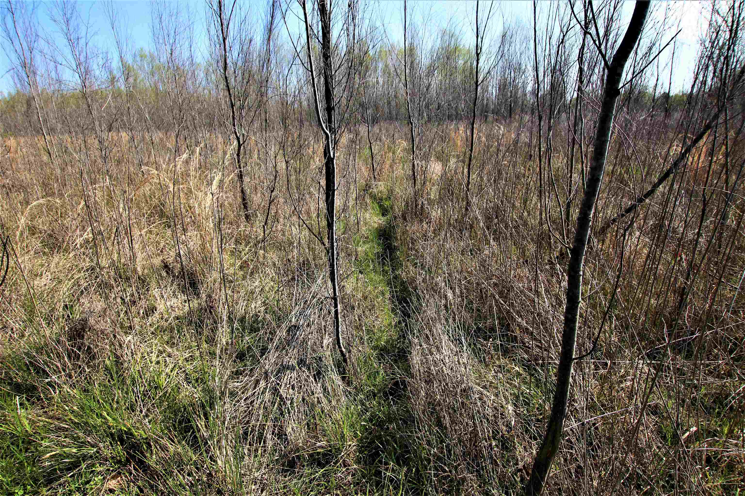 Not in Subdivision - Farm