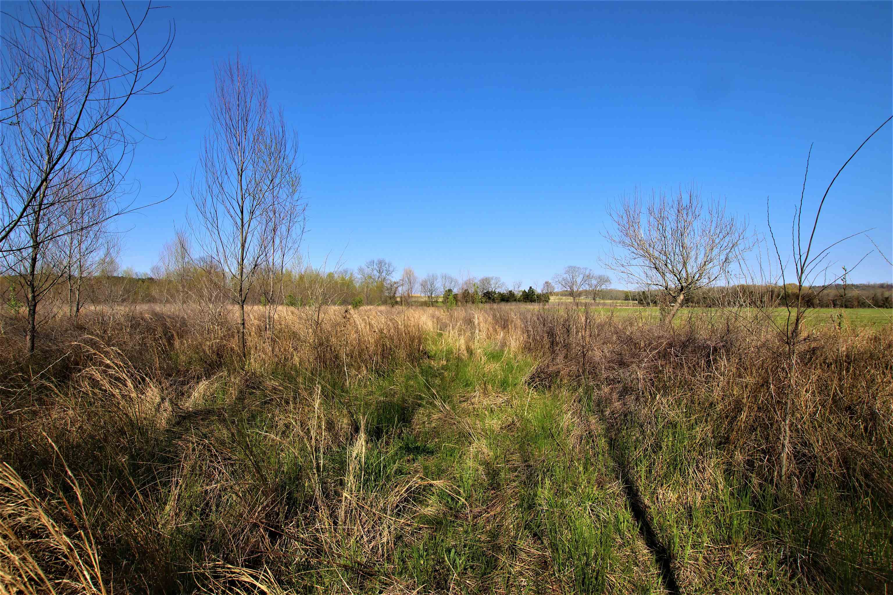 Not in Subdivision - Farm