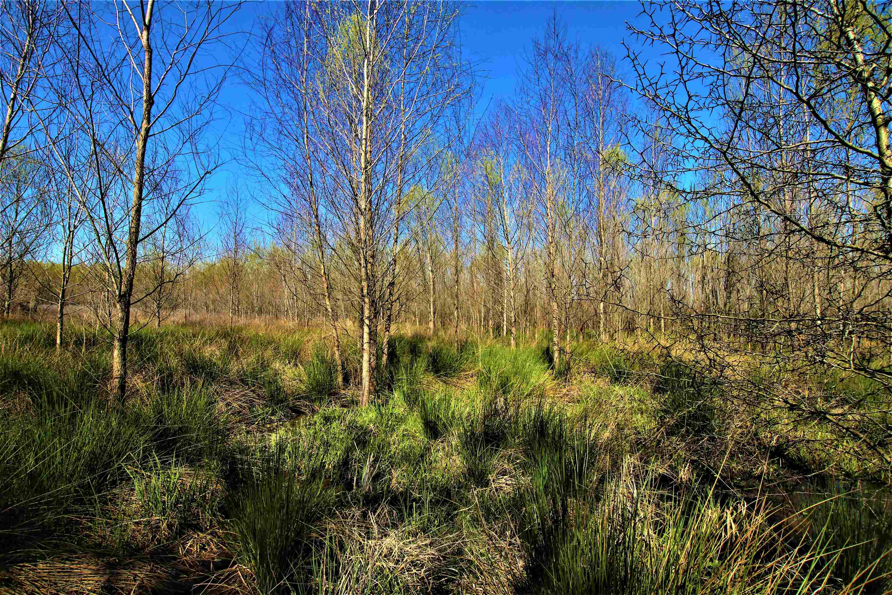 Not in Subdivision - Farm