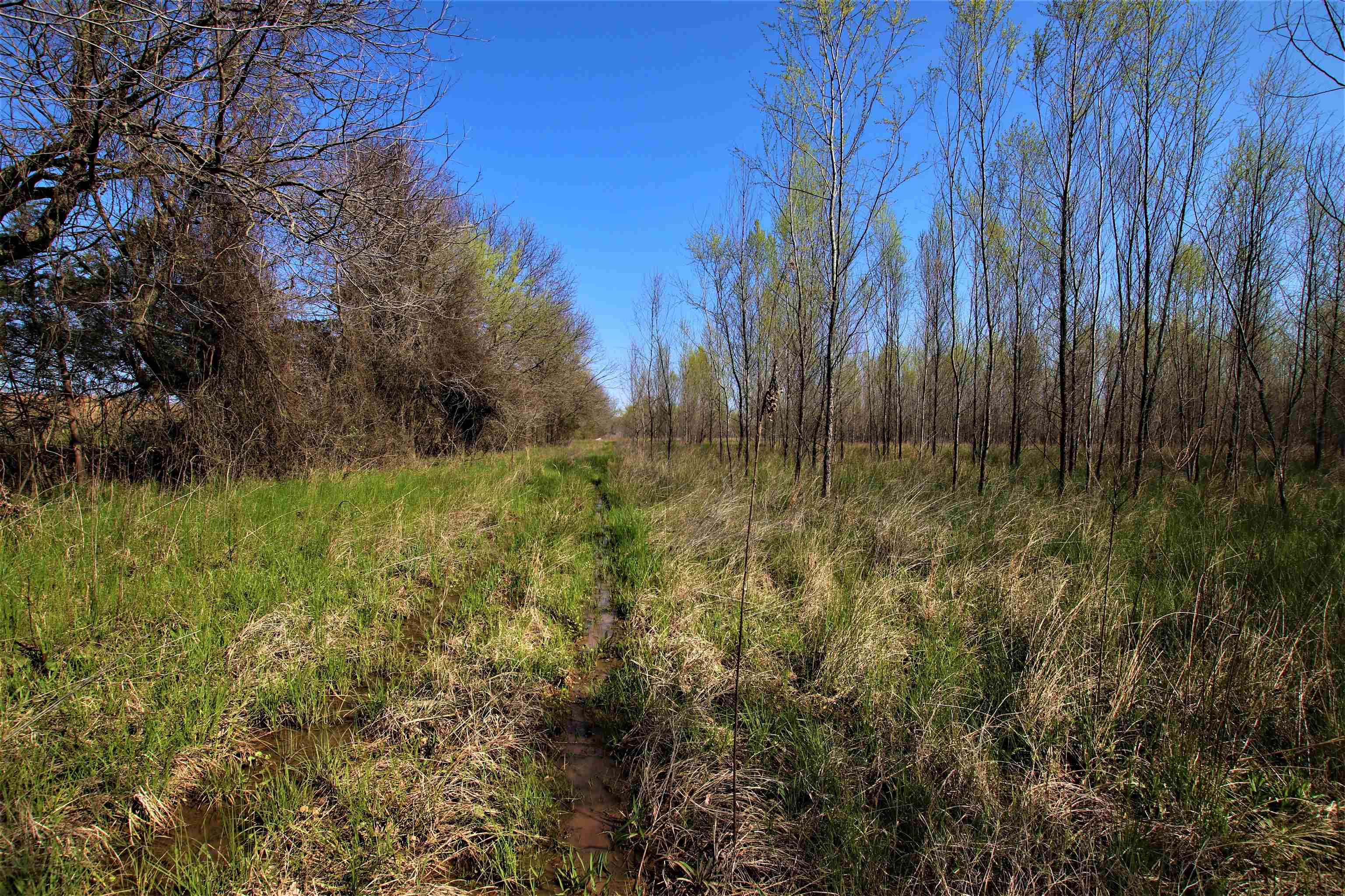 Not in Subdivision - Farm