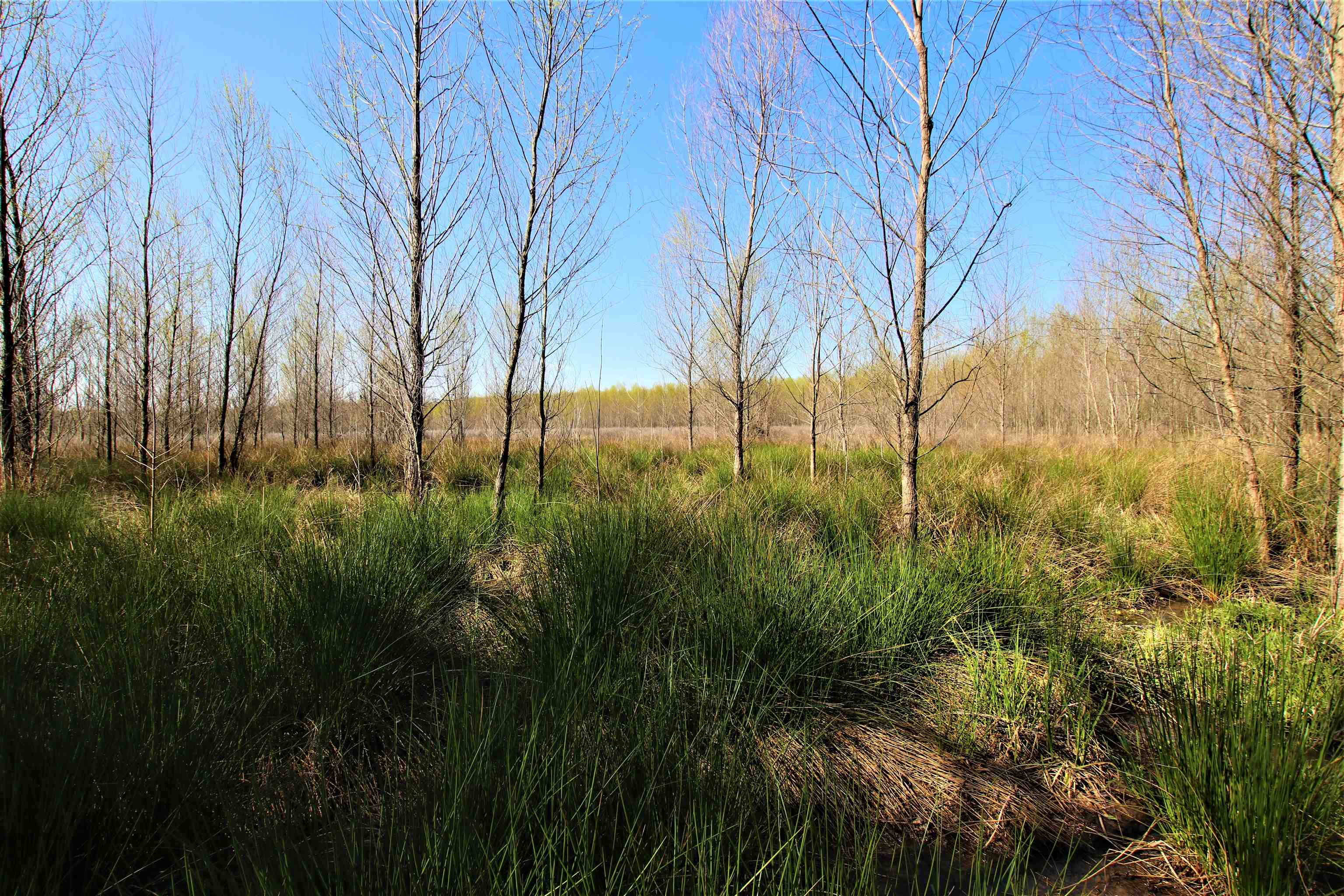 Not in Subdivision - Farm