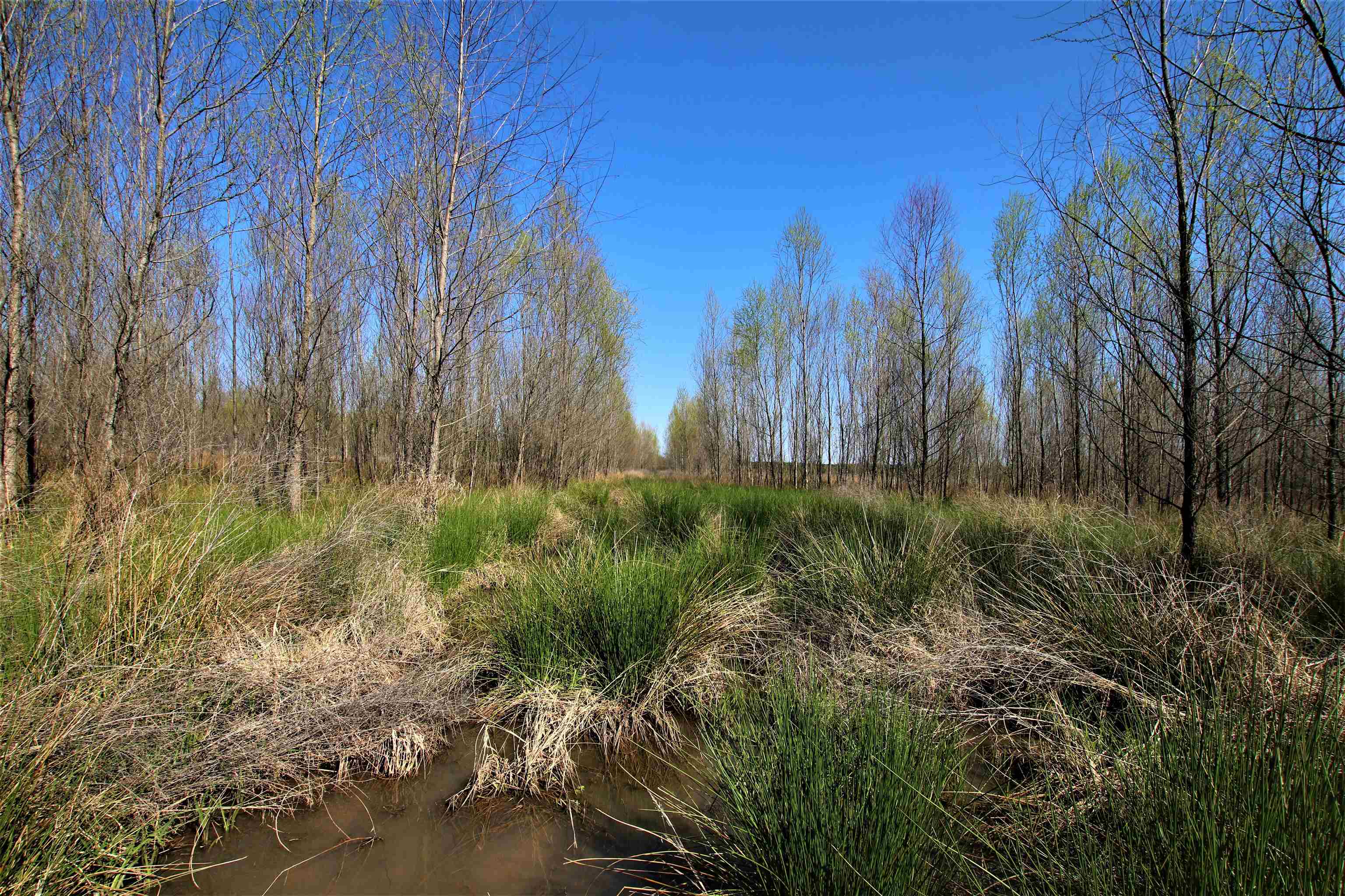 Not in Subdivision - Farm